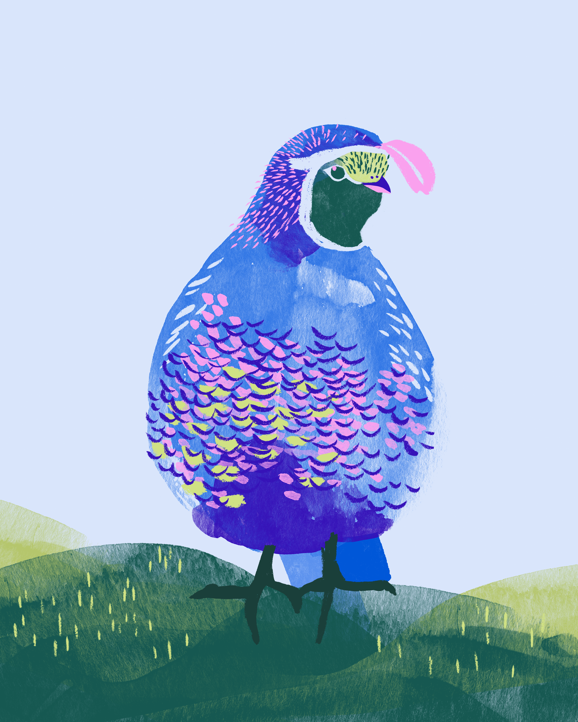 web_Quail.png