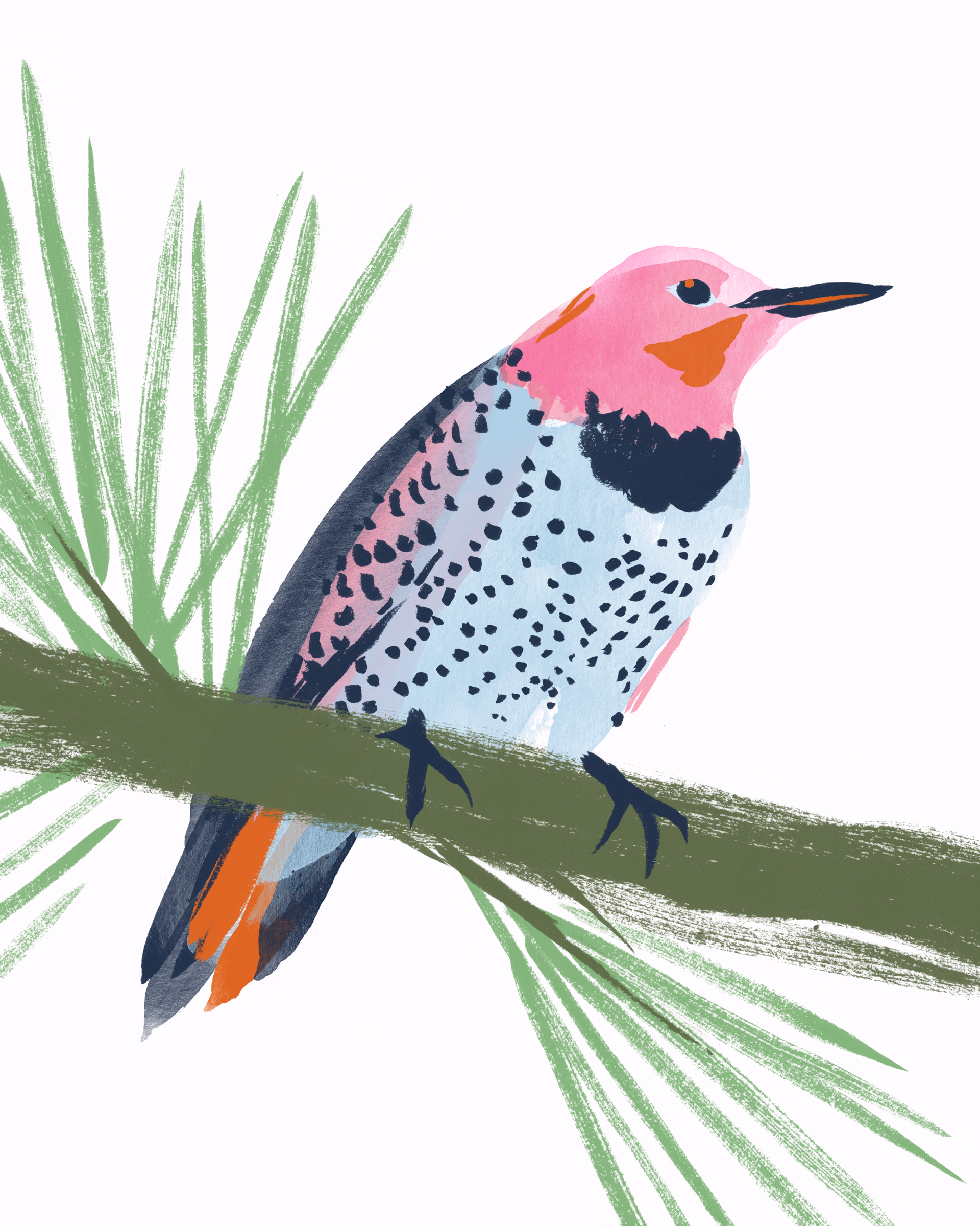 web_NortherFlicker.png