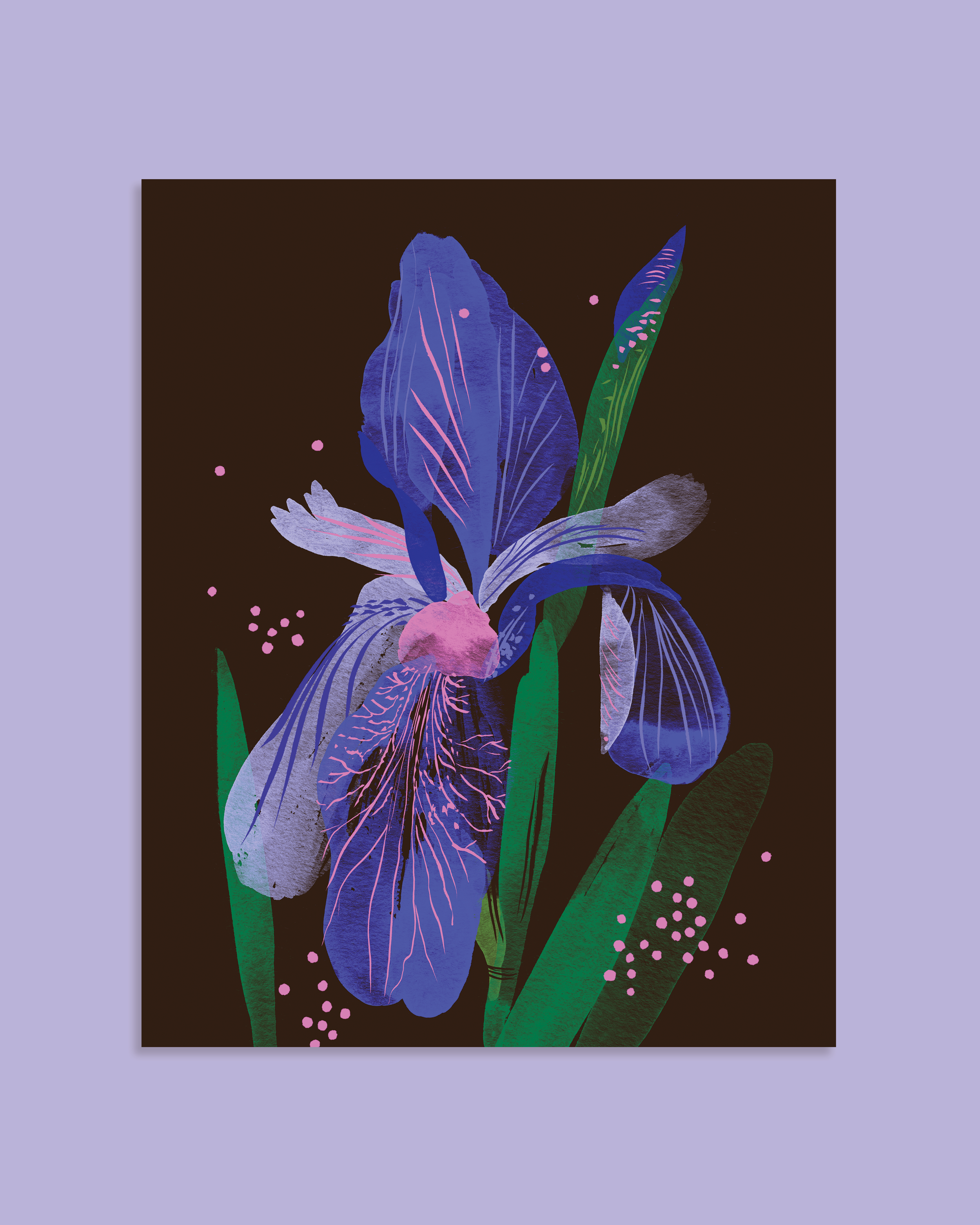 Iris2_webpage.png