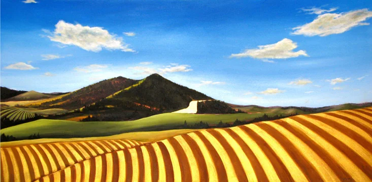 Palouse and Loess Soil