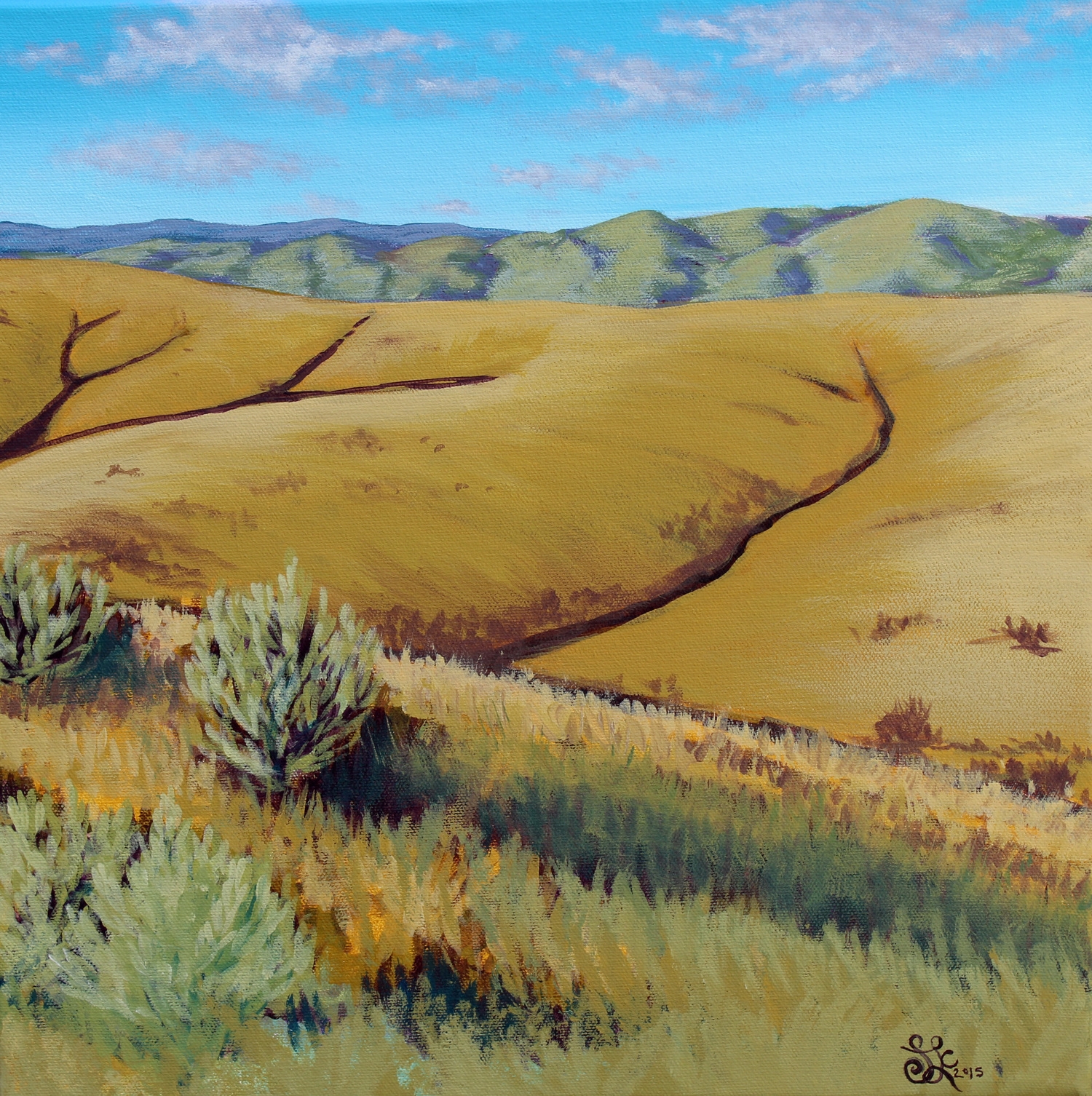 Foothills at Table Rock Road