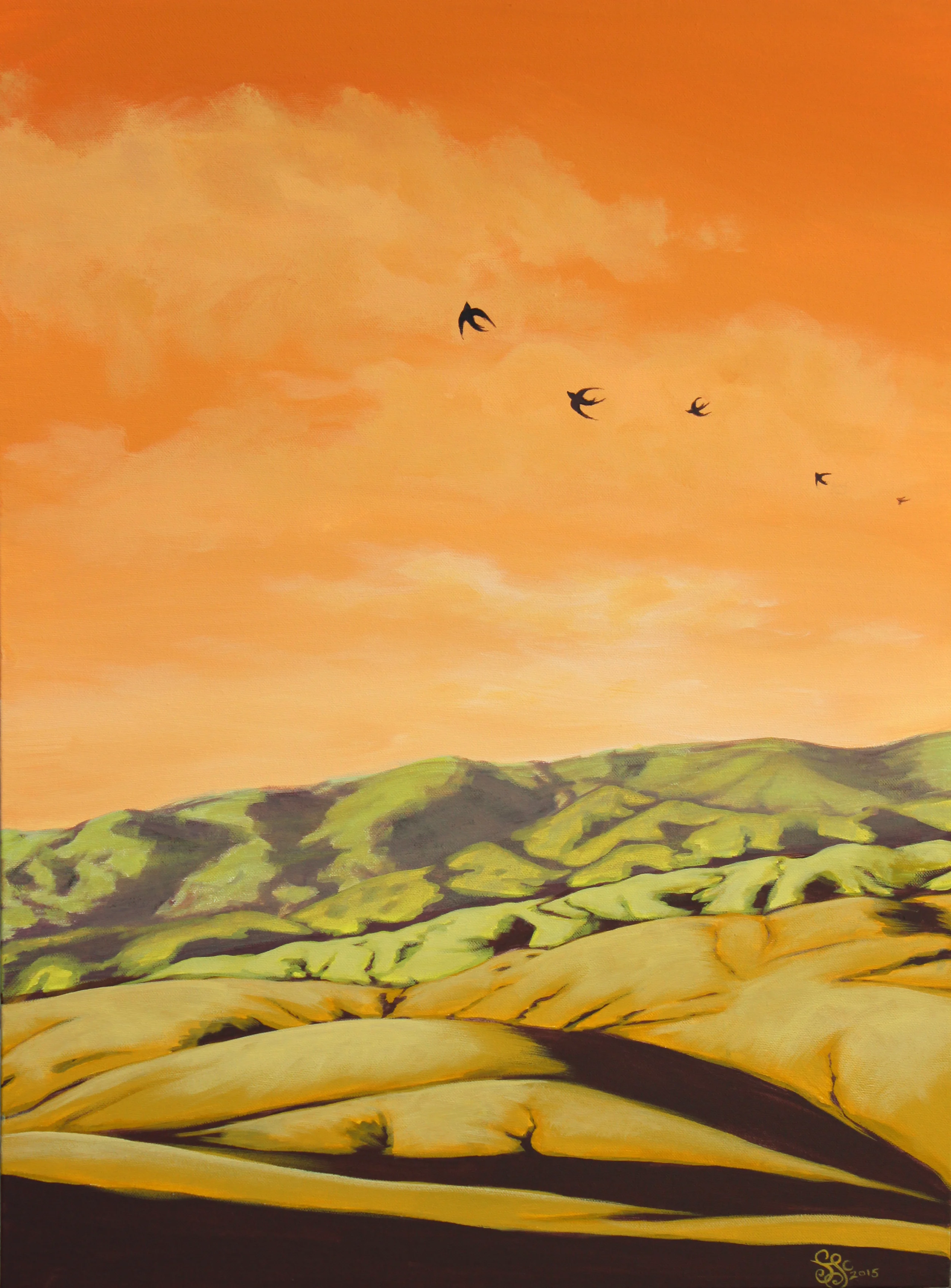 Sparrows over the Hills