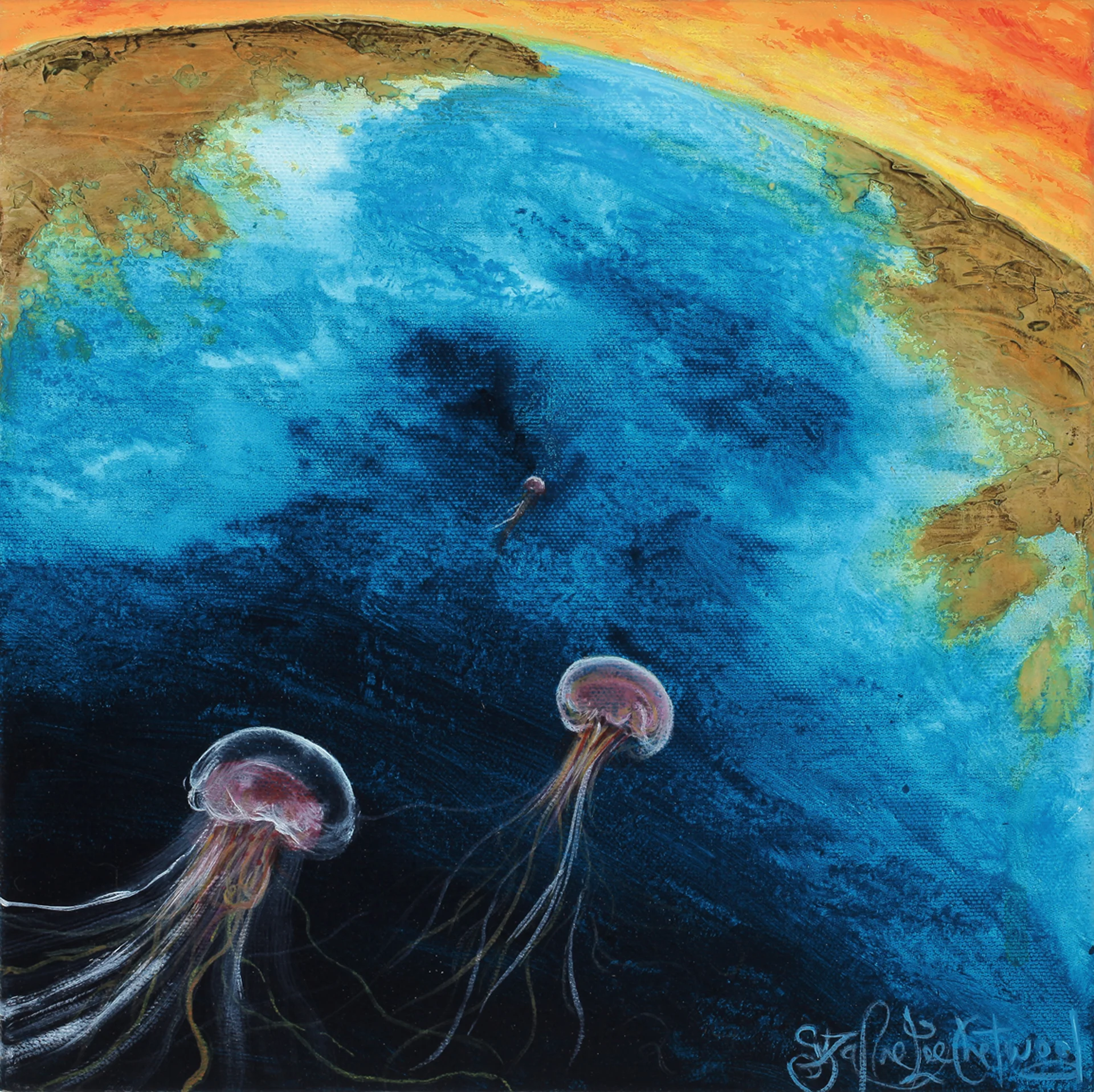 Jelly Boom