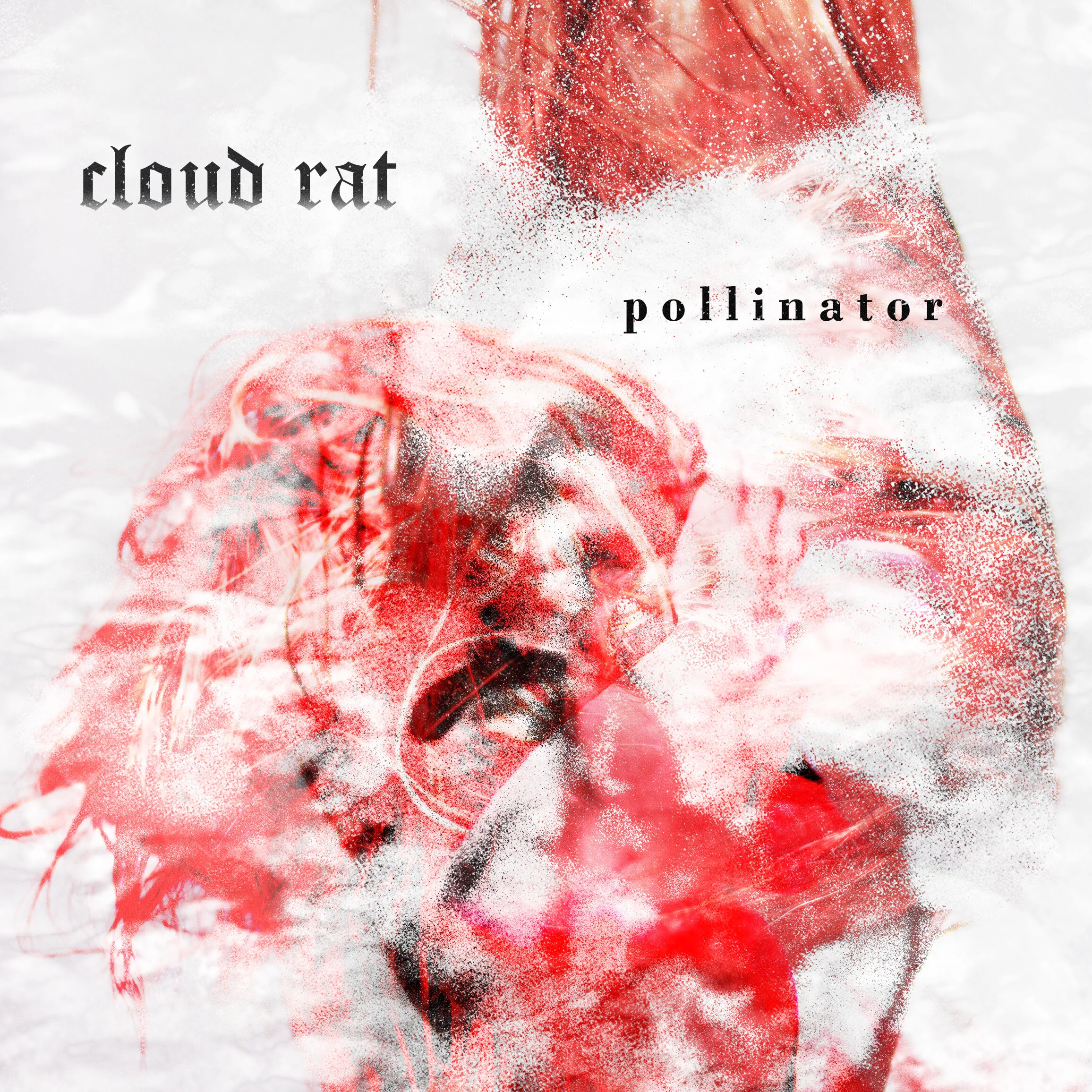 Cloud Rat - Pollinator (faux cover)