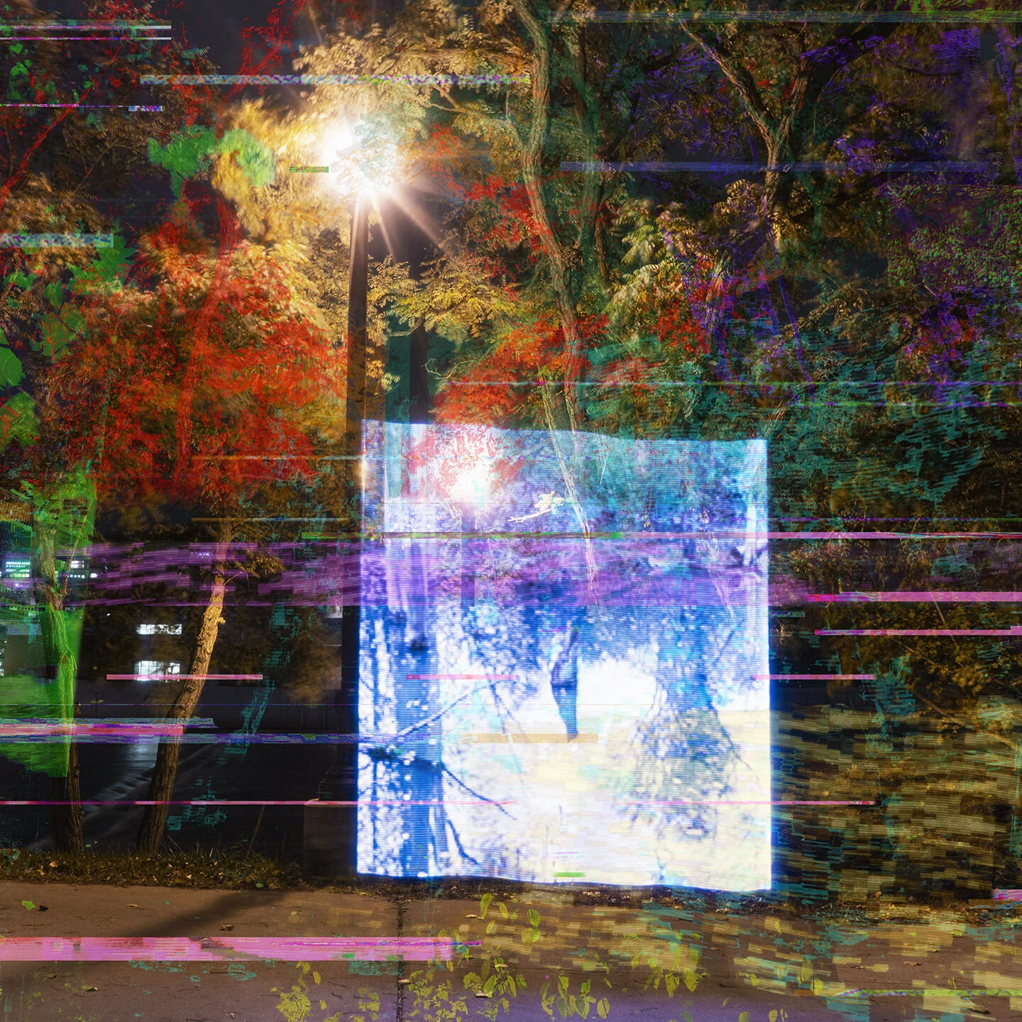 small car only - s/t