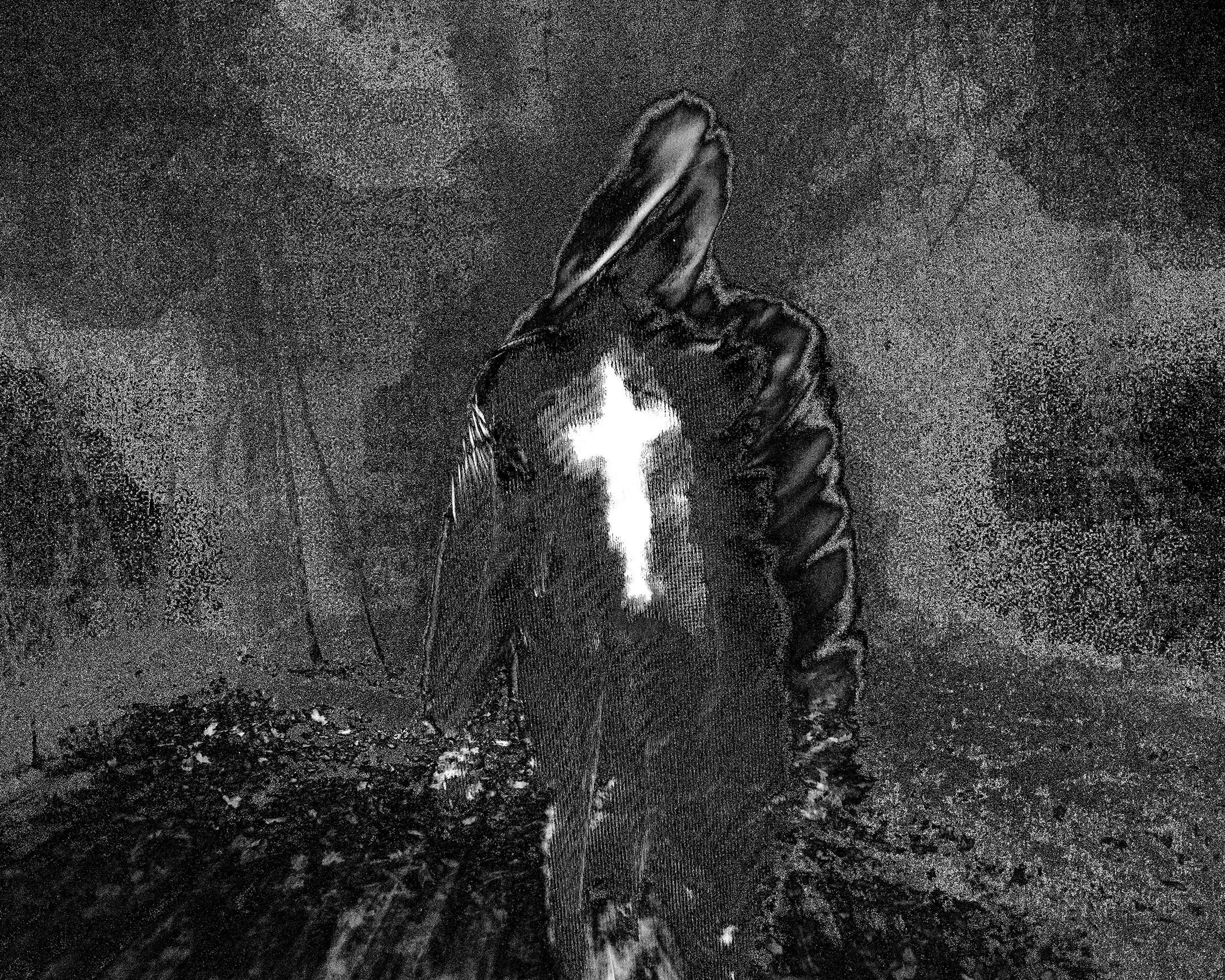 Coming_sized for web.jpg