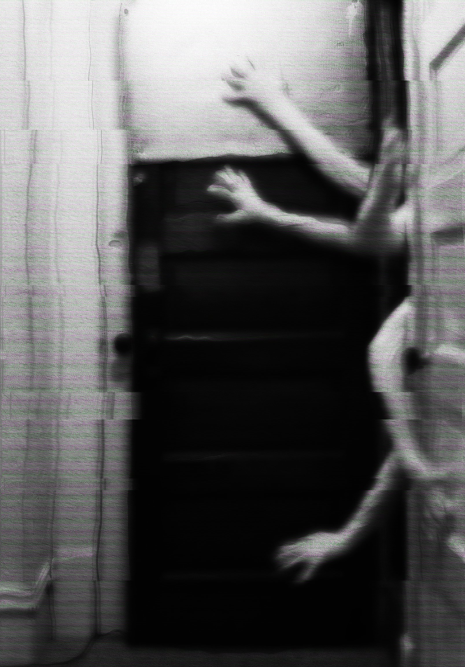 hanzfinalmaybewhocaresllmetho_sized for web.jpg