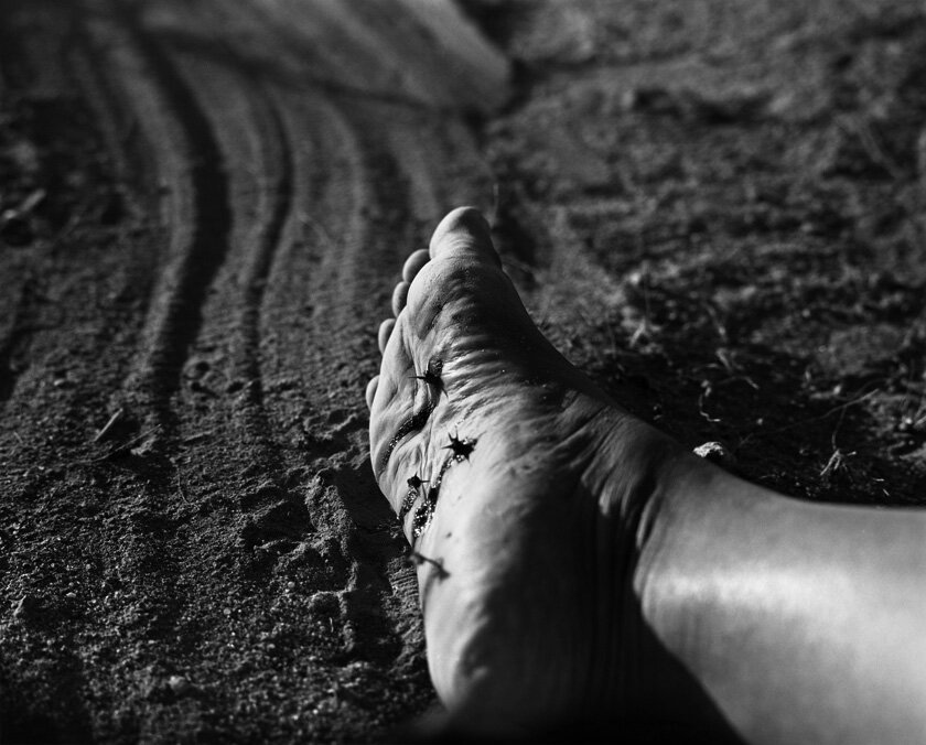 desert+8+bw.jpg