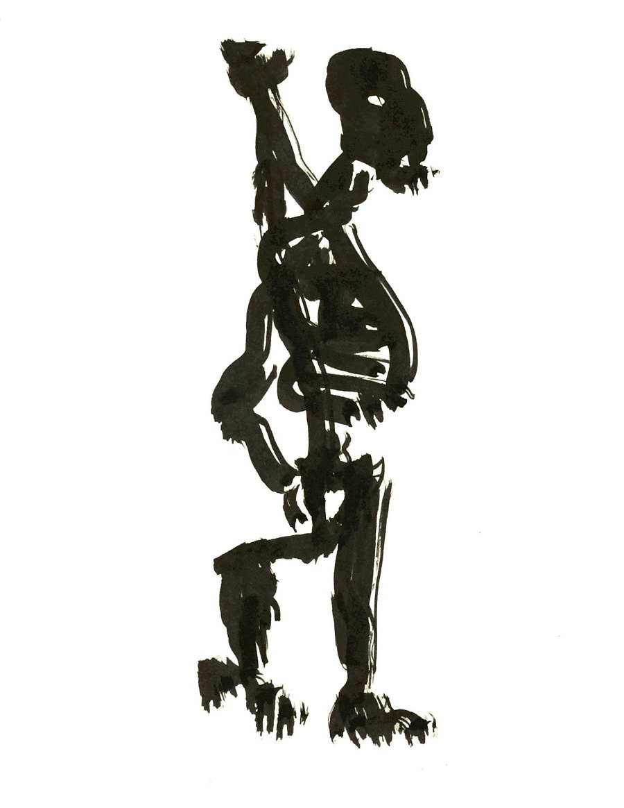 skeleton study, 2016