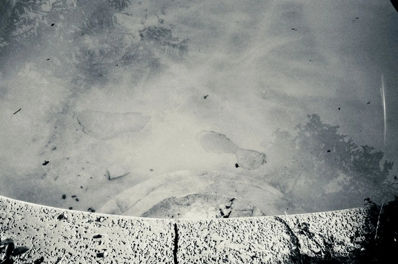24030031a.jpg