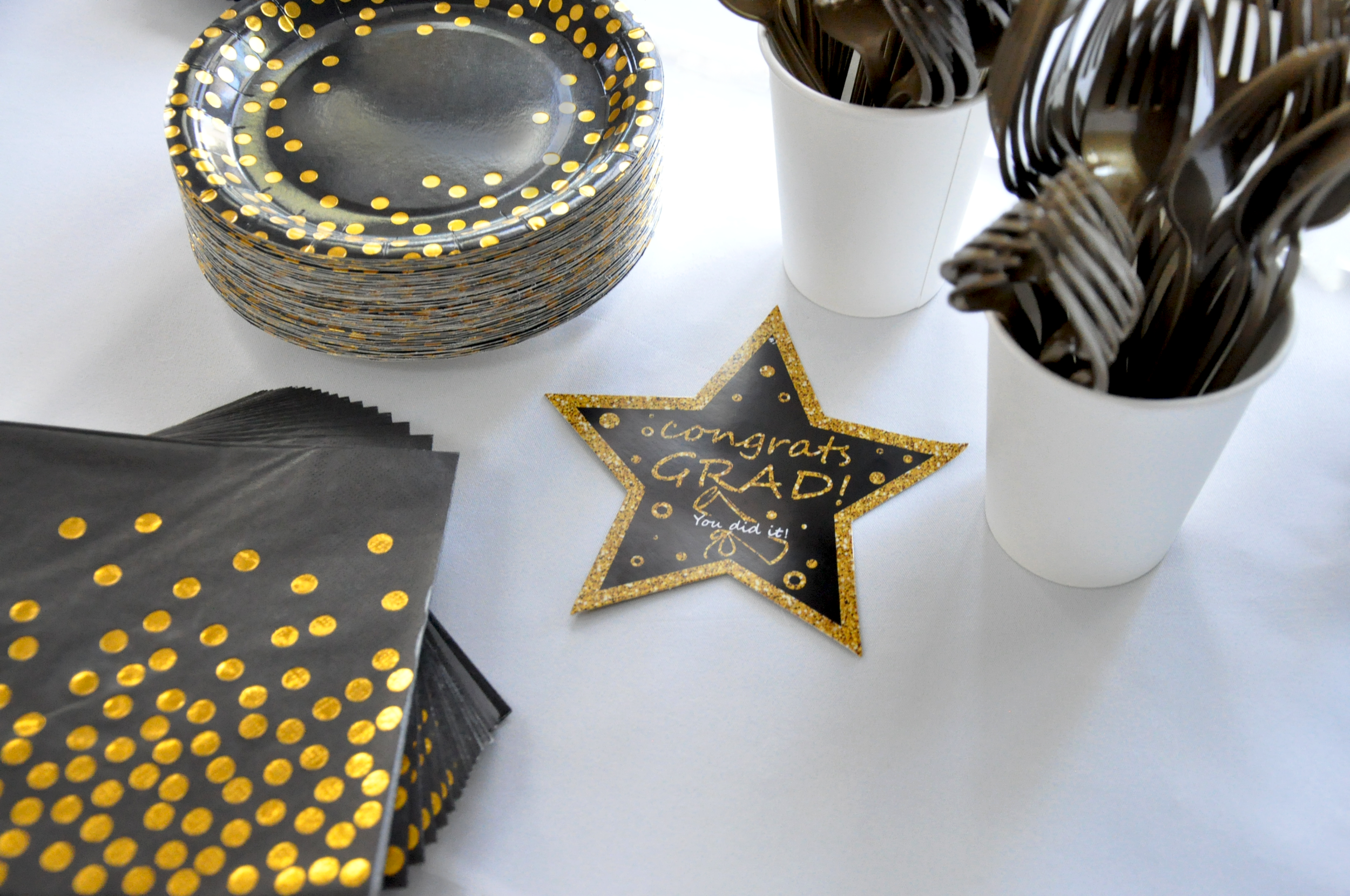 Fss Graduation Programs — 2nd Story Associates