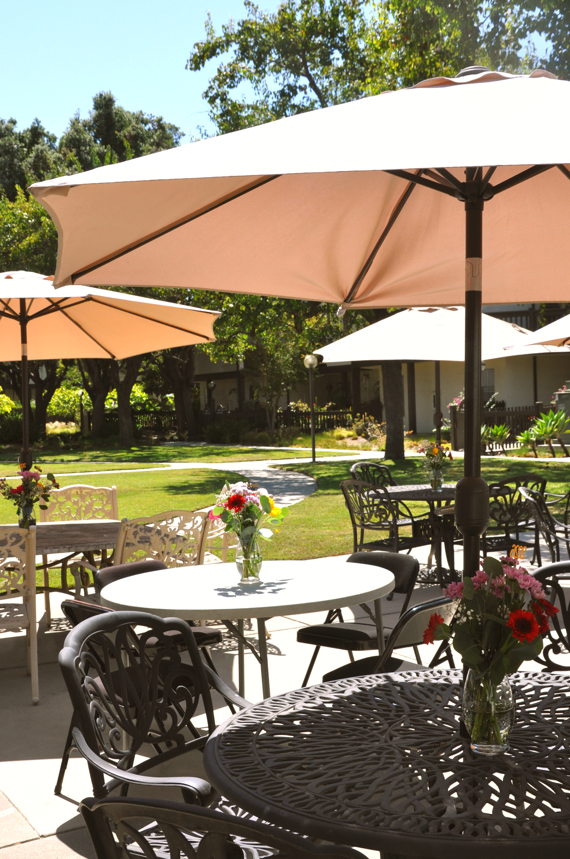 PBC 2026 -  (3).png