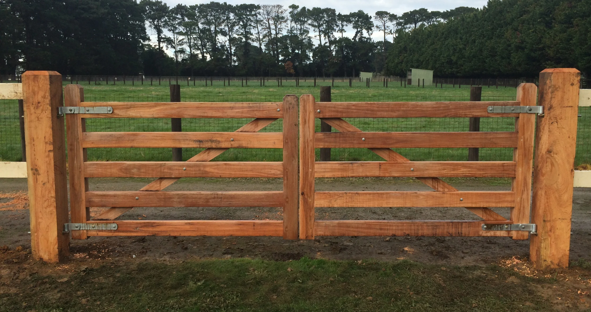 CJ hardwood Double.JPG