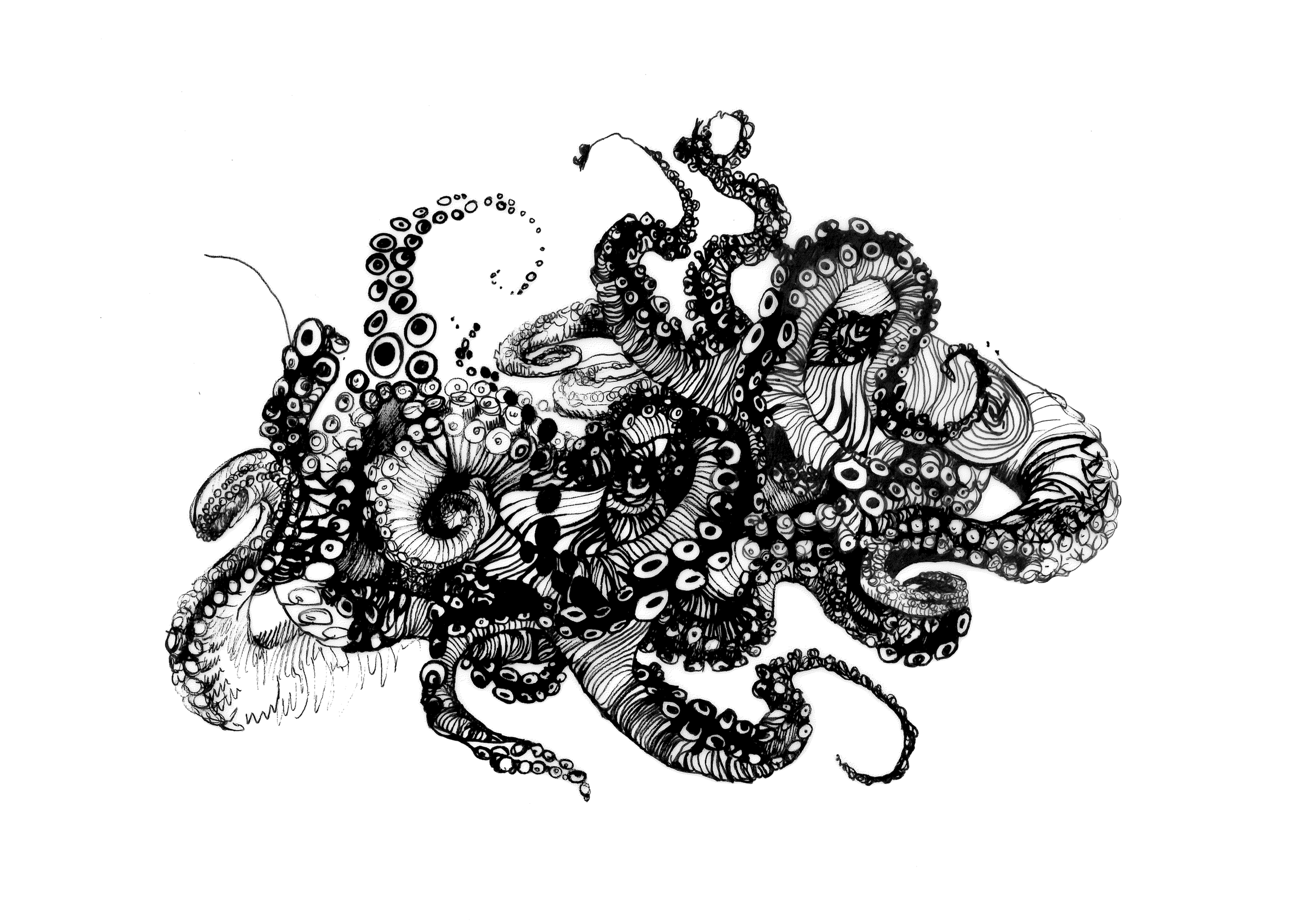 'Intellitangle'