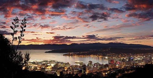 Welly!