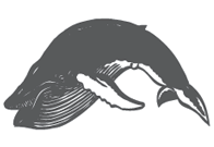 A World WITH Whales!