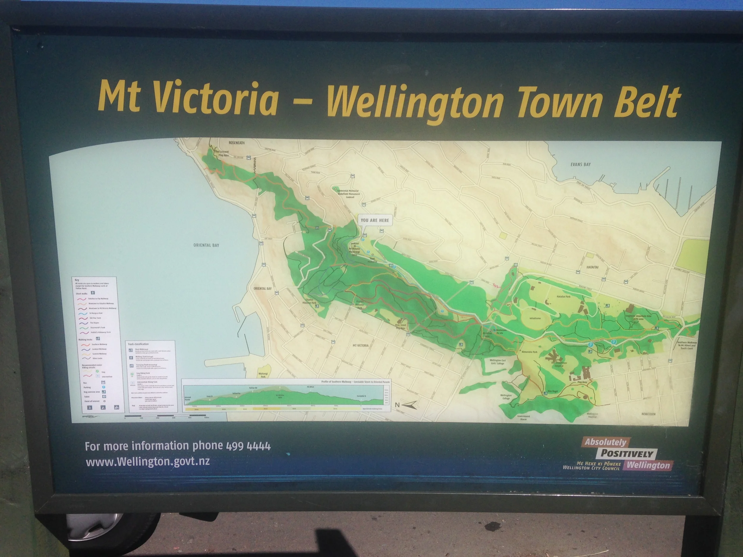One out of the cracker Welly! Mt Victoria meanderings..