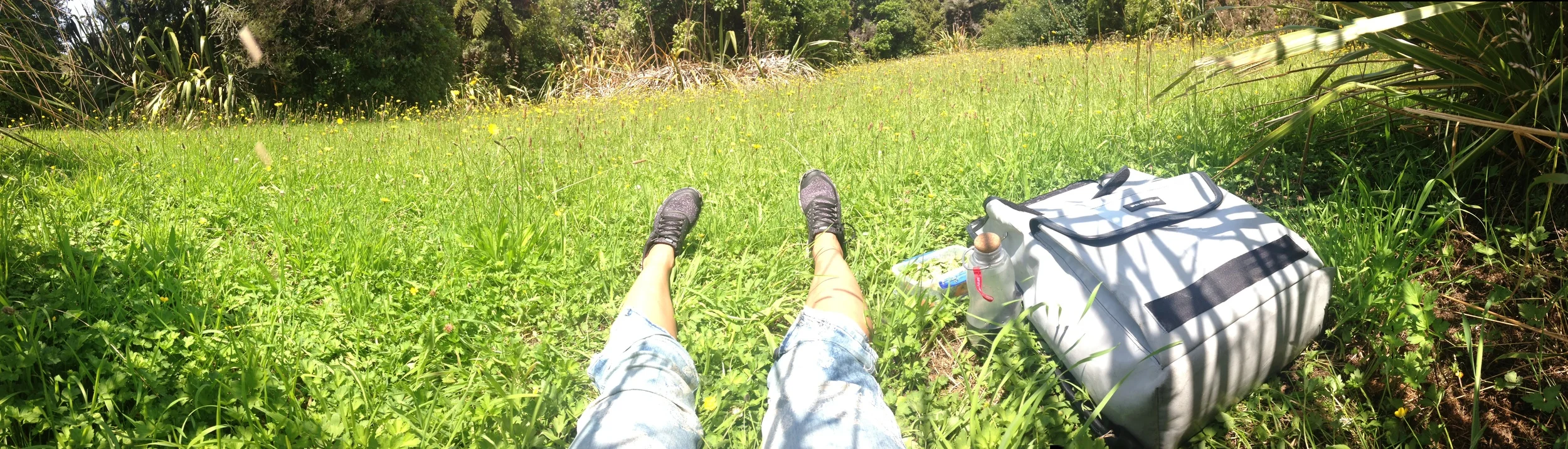 Nomnom nom in the buttercups and dandelions yUUUss.