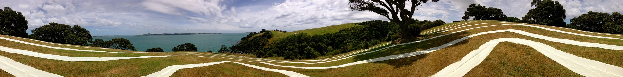 Veronica Herber's piece was stunning from afar and up close. I climbed the big pohutakawa and viewed from above this engaging piece which from the ferry looked like a target on the hillside.