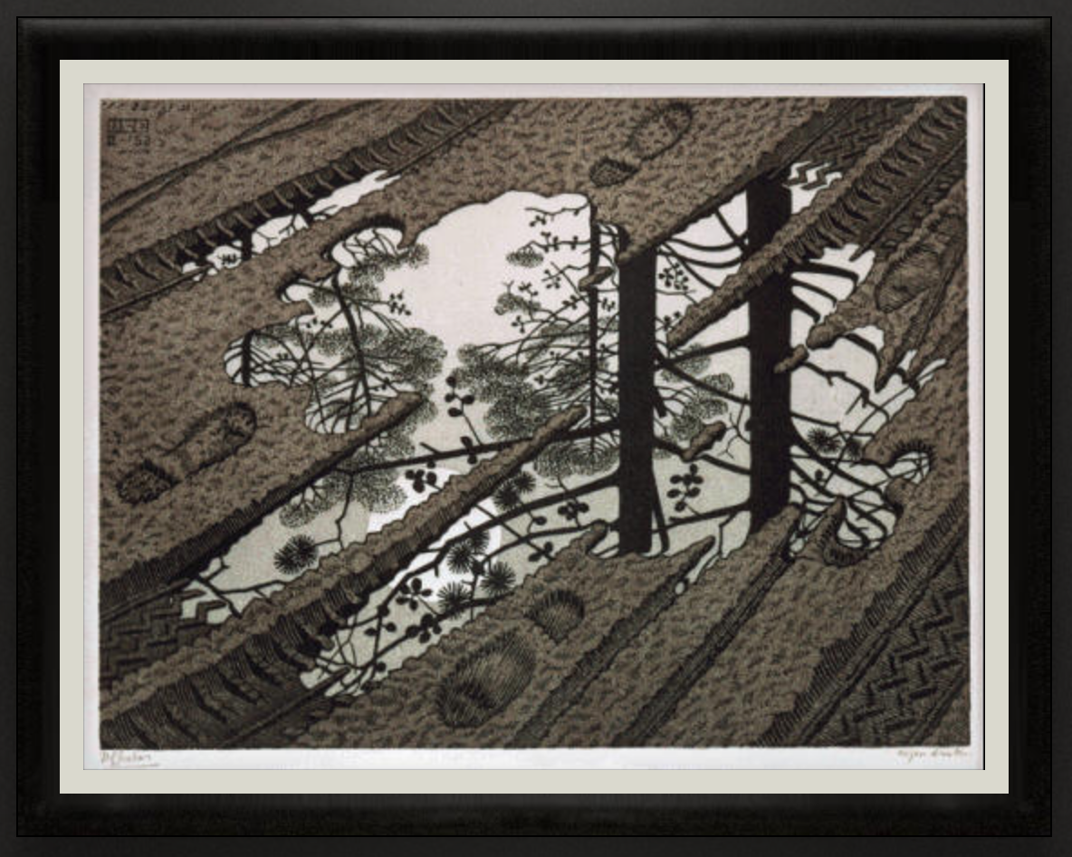 Puddle, 1952, Woodcut in black, green and brown, printed from 3 blocks. 319mm x 240mm.