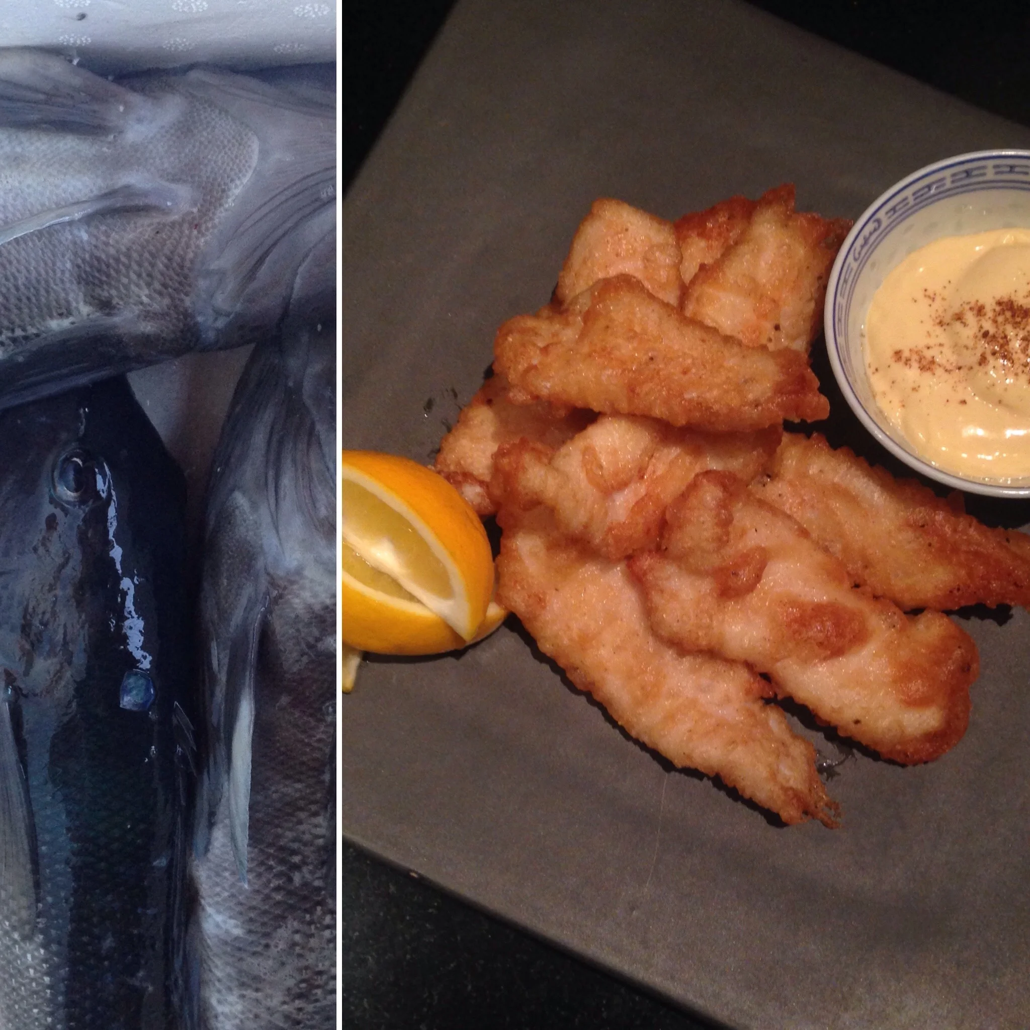 Just Caught! Blue Cod & Aoili