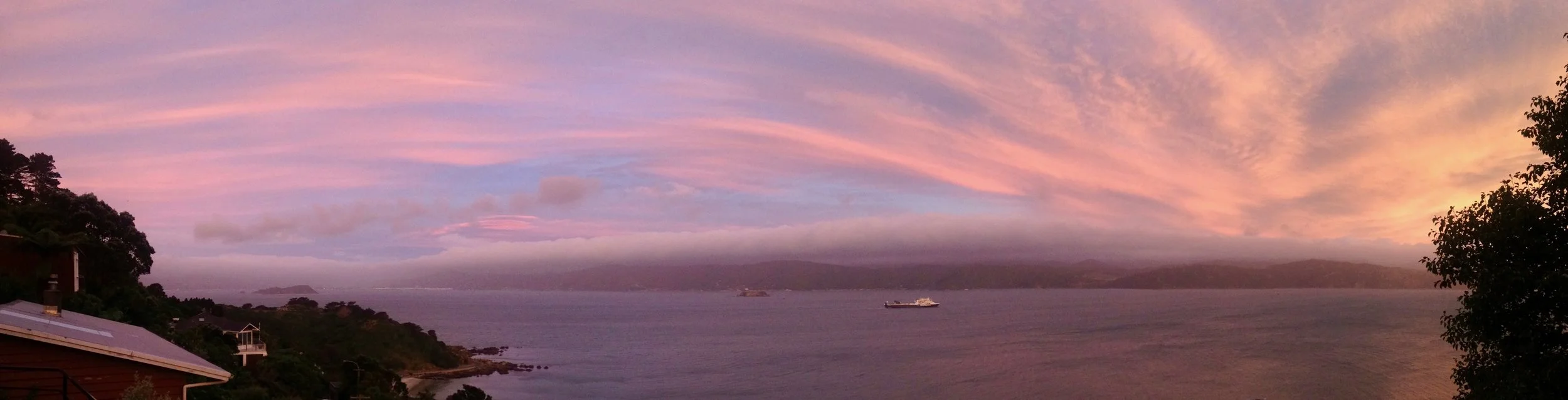 ♥ NZ love ♥