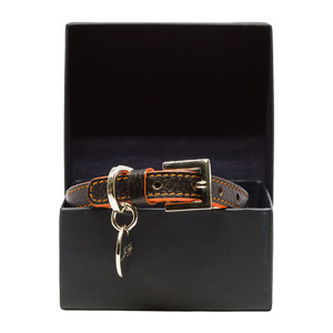 Leather Pet Collar — J.L. Rocha Collections