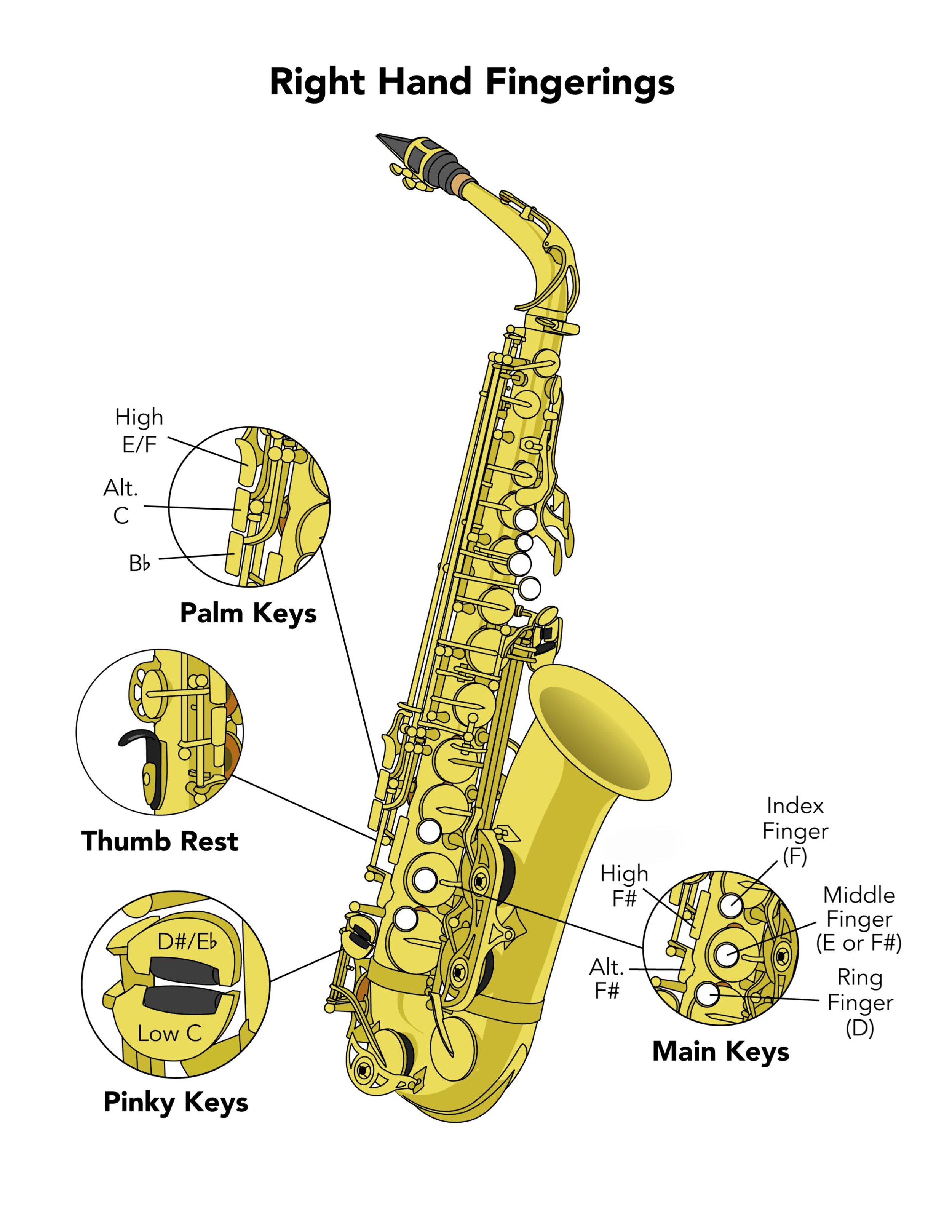 Notes On Alto Saxophone - F
