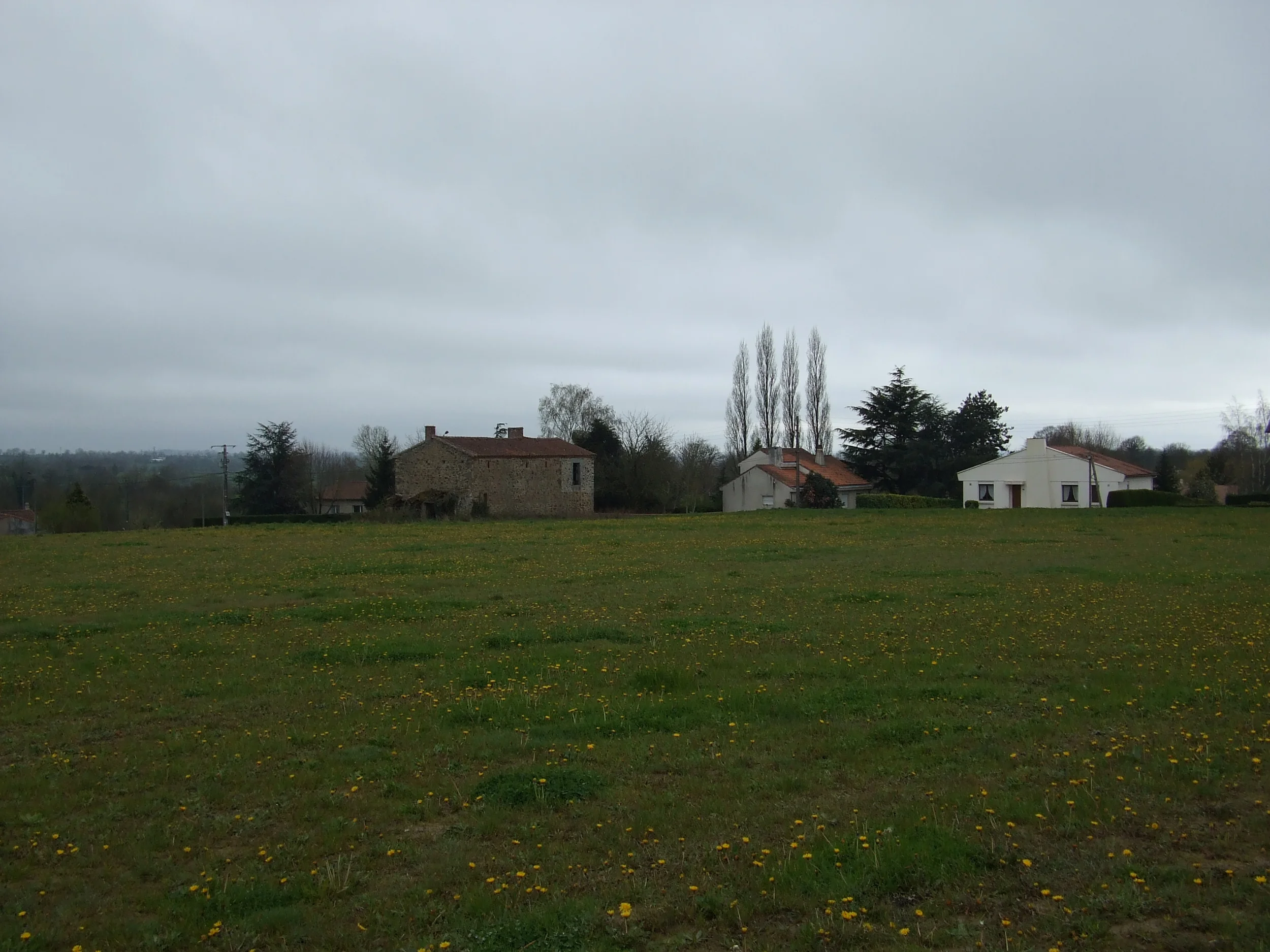 geometre-courlay-03.jpg