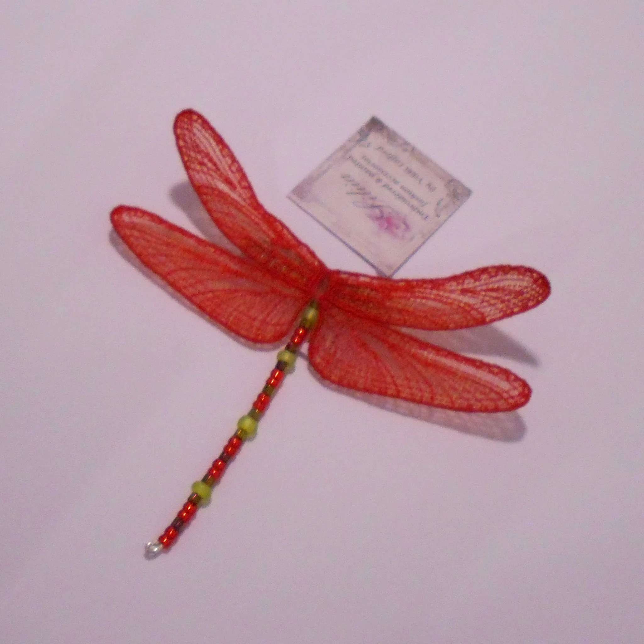 Dragonfly Red Web.jpg