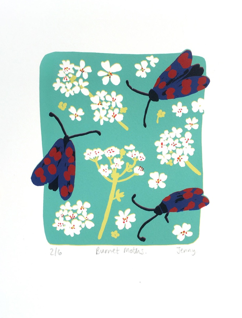 Burnet Moths screen print paper size - 19cm x 23.5cm image size - 12cm x 14cm £73