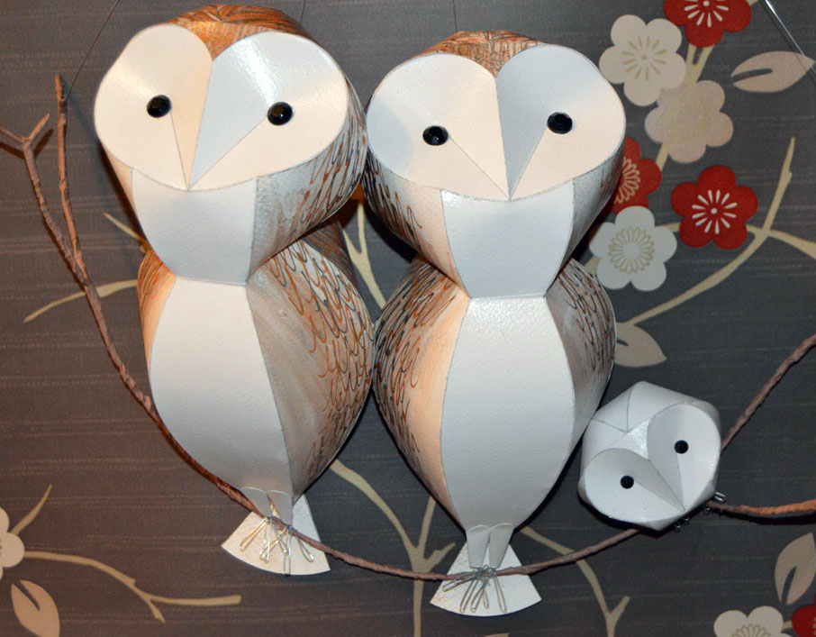 Barn Owl Parliament