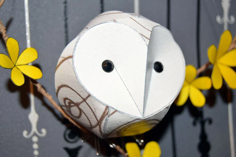 Virgil the Baby Barn Owl
