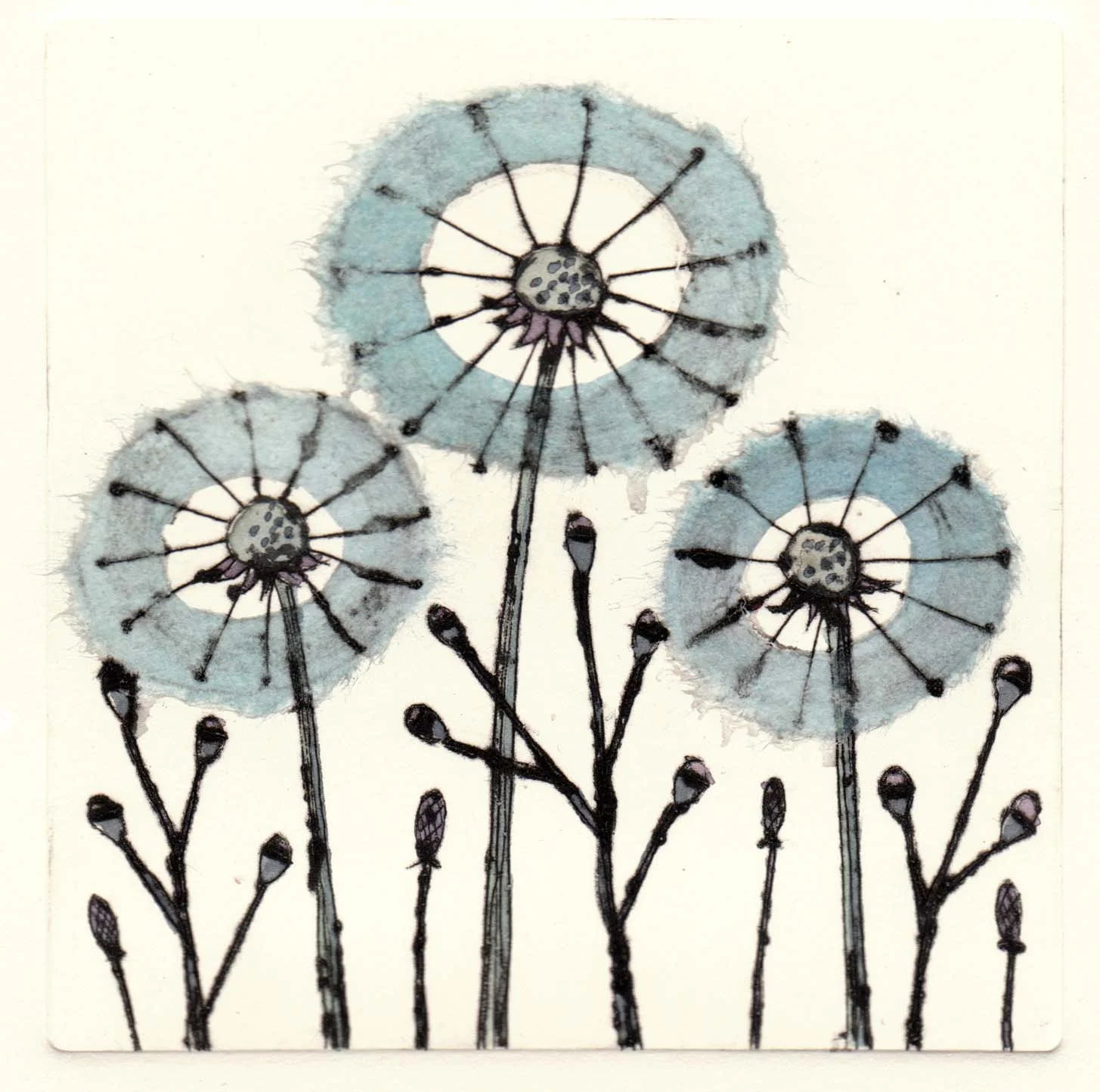 Three Dandelions drypoint 12 x 12cm £49 unframed