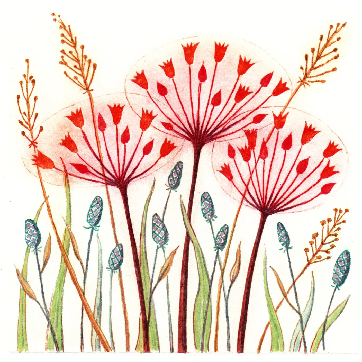 Three Seed Heads drypoint 12 x 12cm 75 unframed
