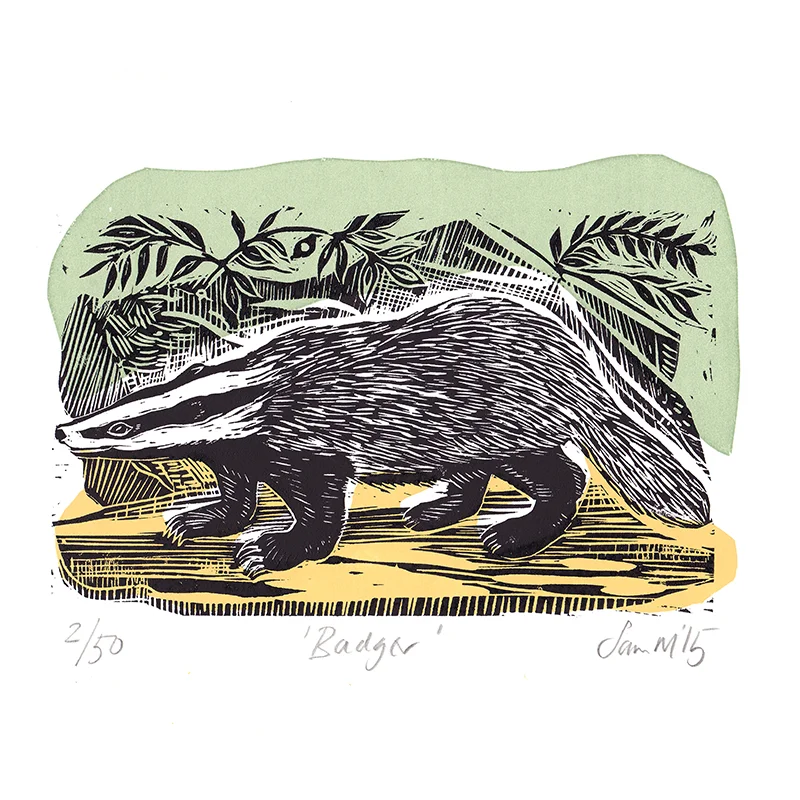 Badger Linocut £75 (unframed)