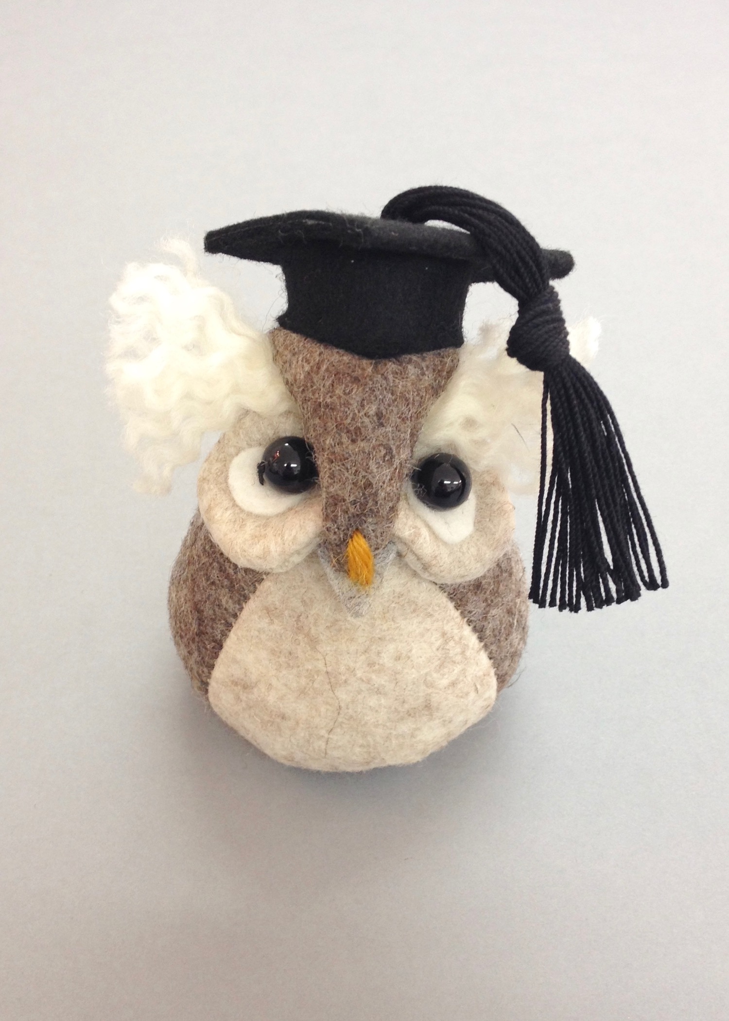 Ollie the Graduation Owl felt