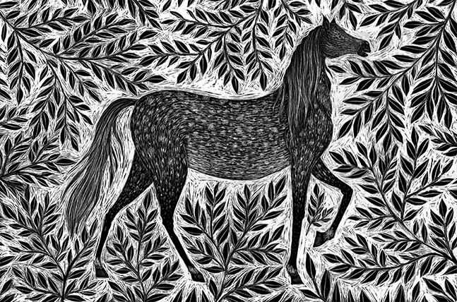 Dapple Grey Horse scraperboard