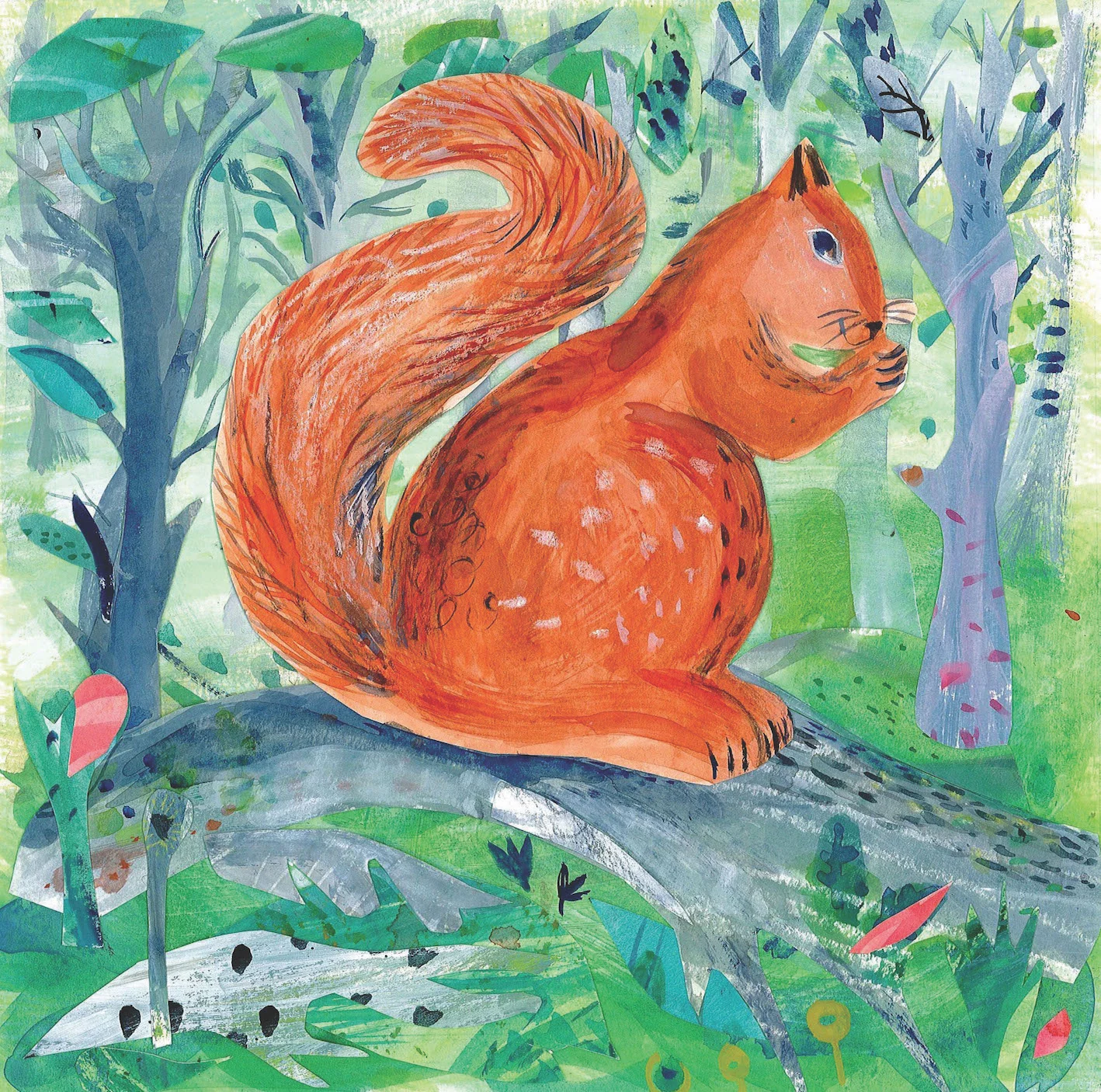 Red Squirrel mixed media 30 x 30cm £180 framed