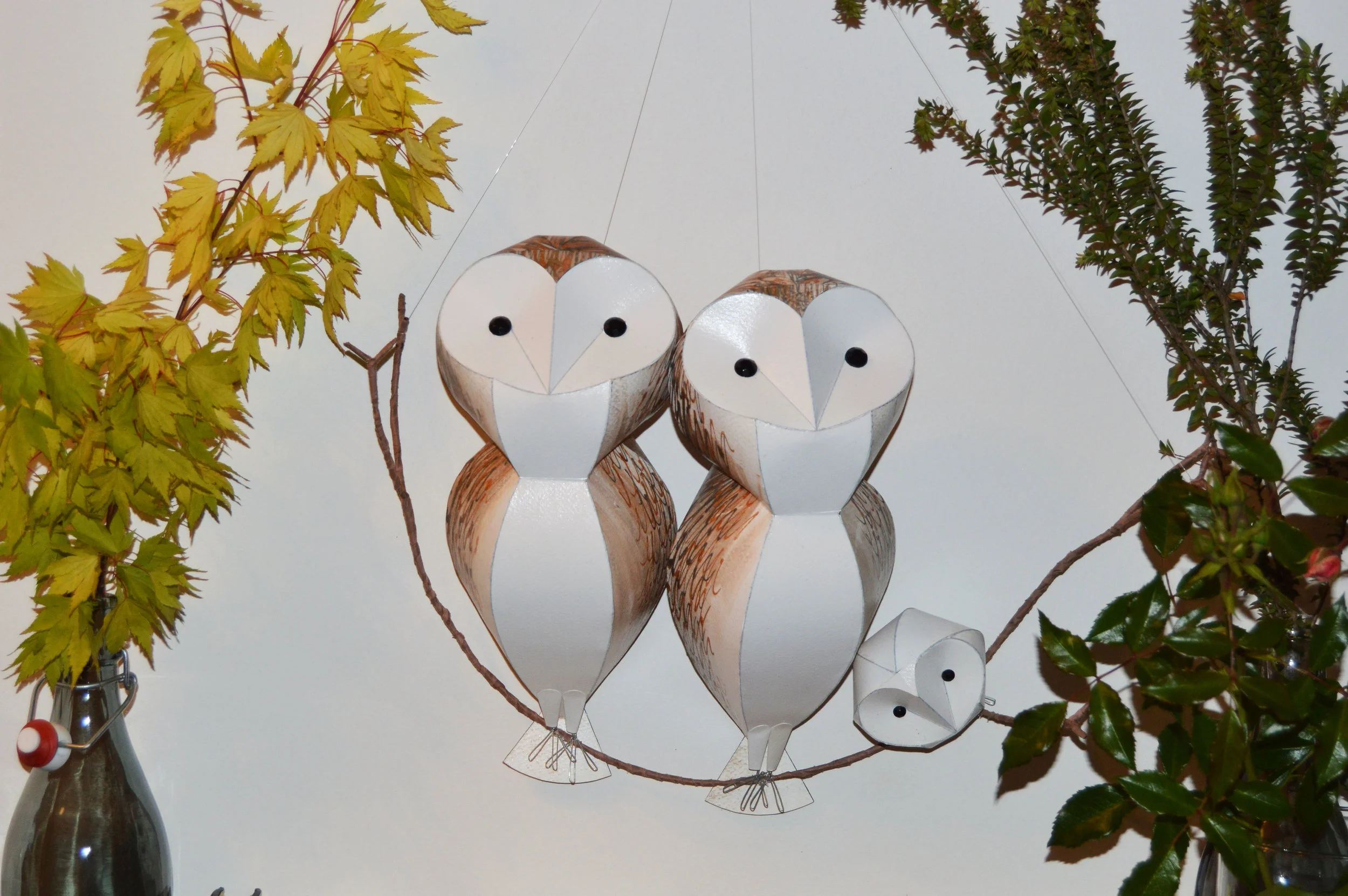 Barn Owl Parliament