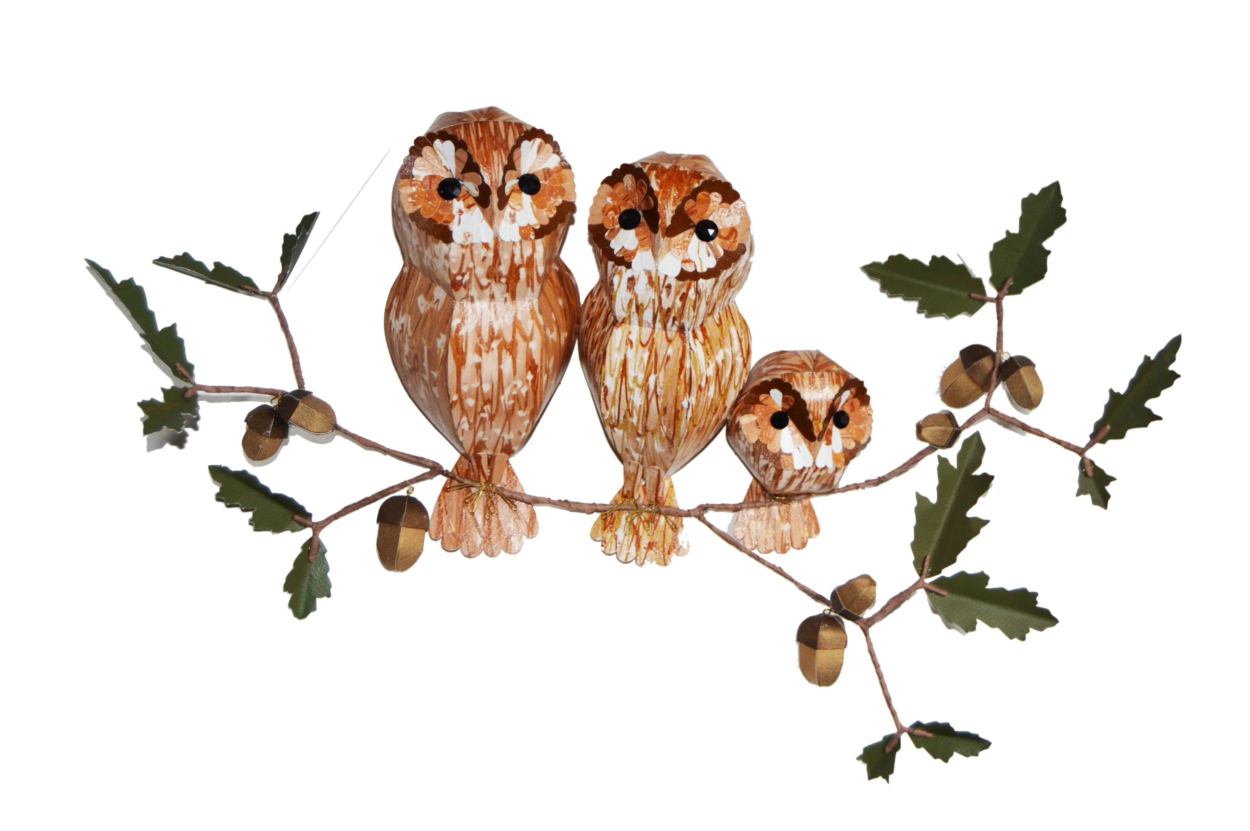 Tawny Owl Parliament
