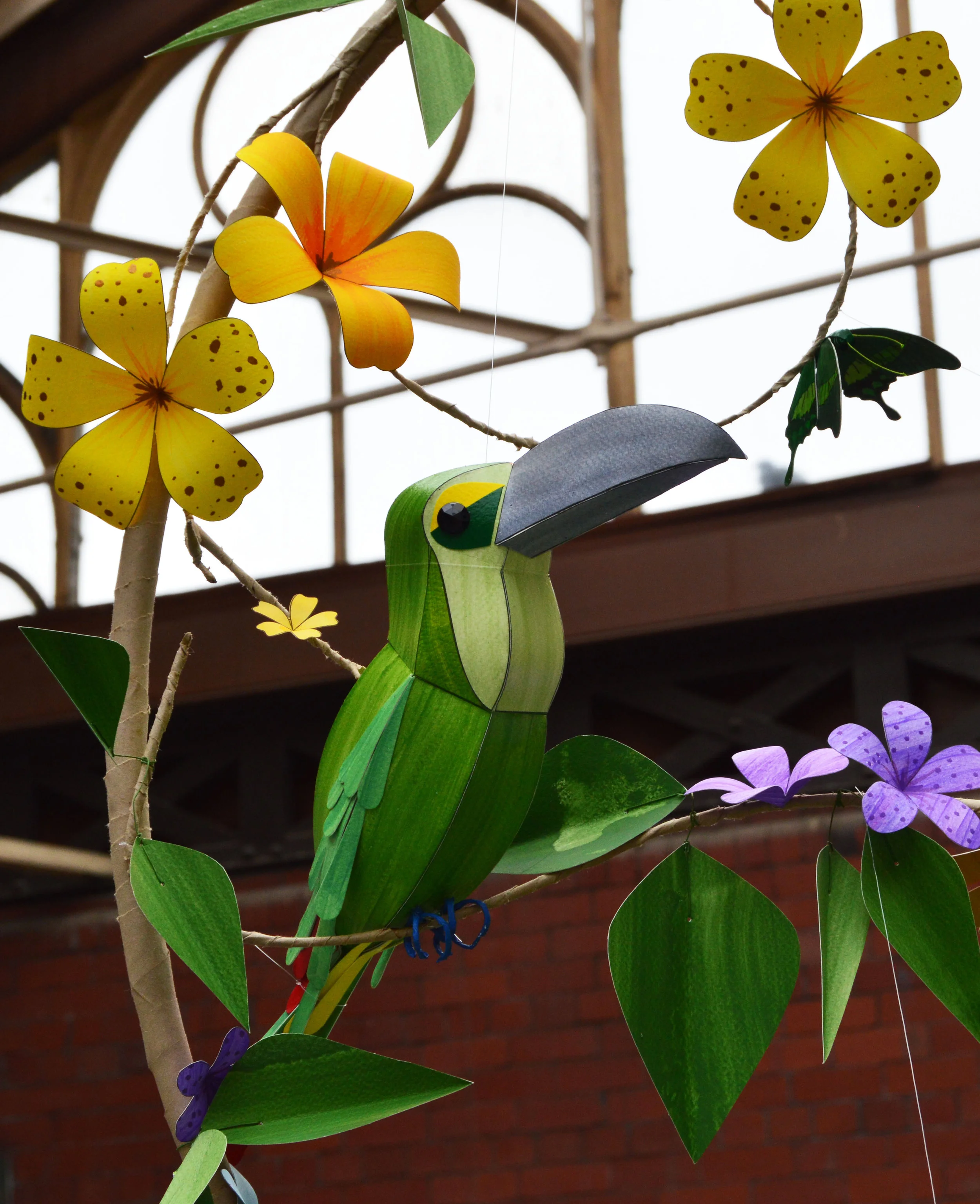 Michonne the Yellow Browed Toucanet