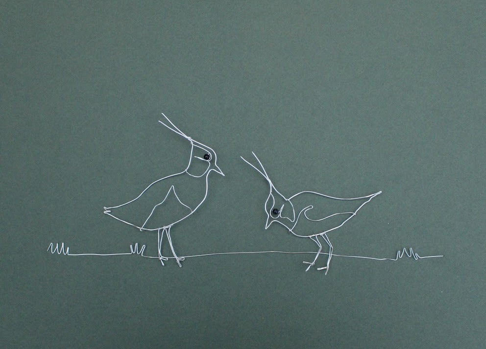 Lapwings (2) £187