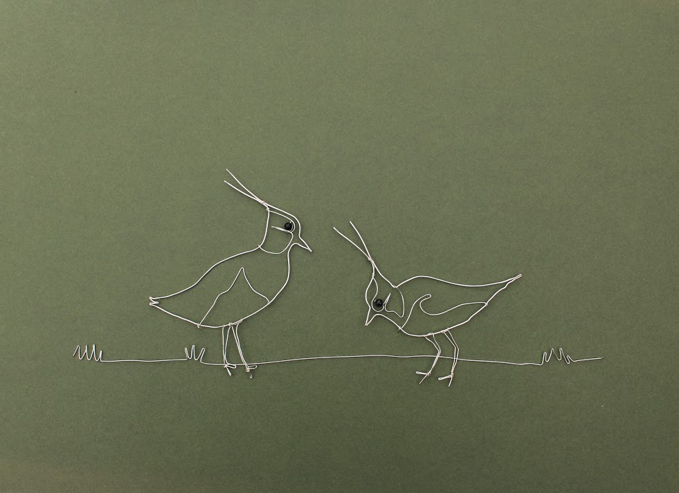 Lapwings £187