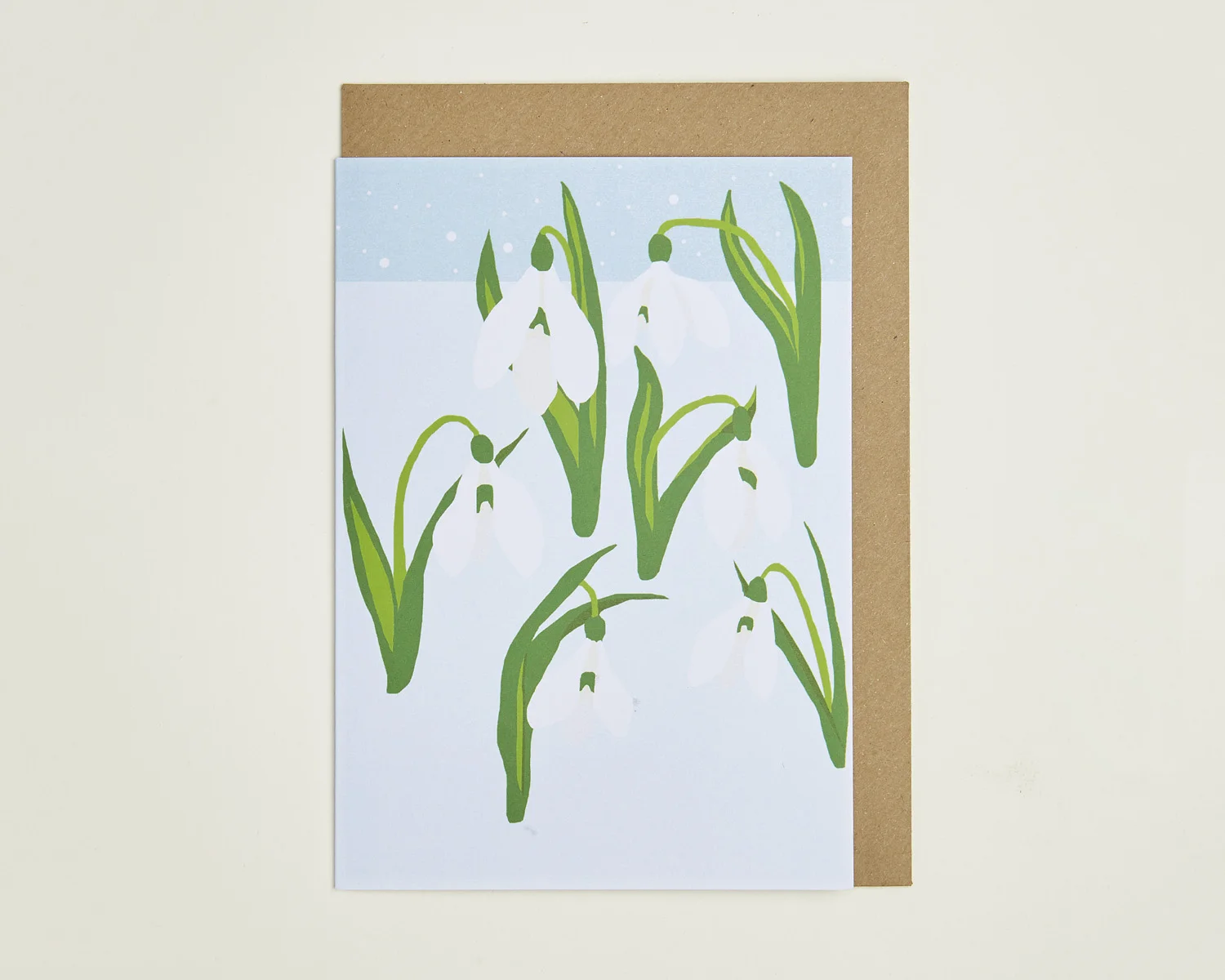 Snowdrops 1.65.jpg