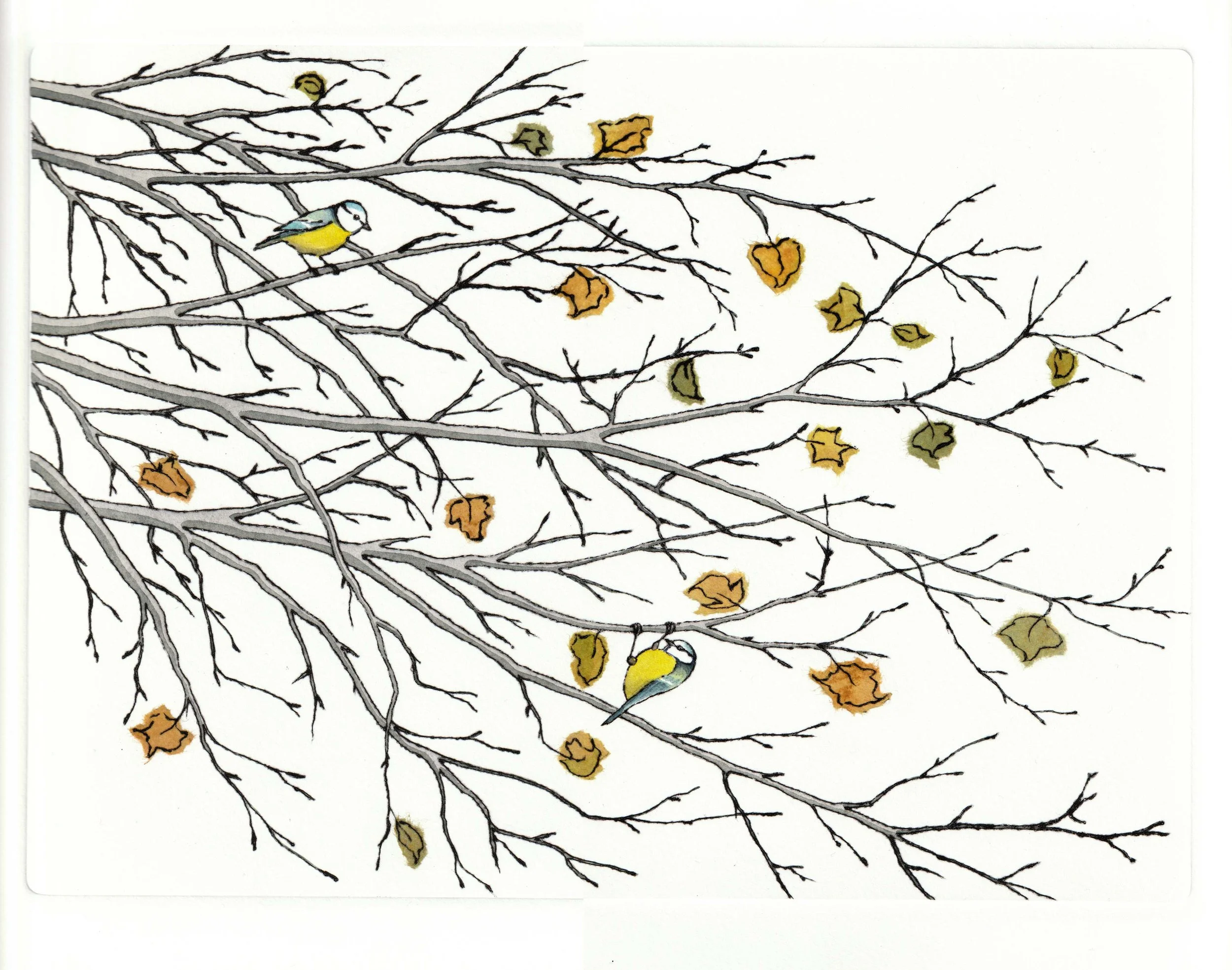 Autumn Branches drypoint 31 x 23cm £195 unframed £245 framed
