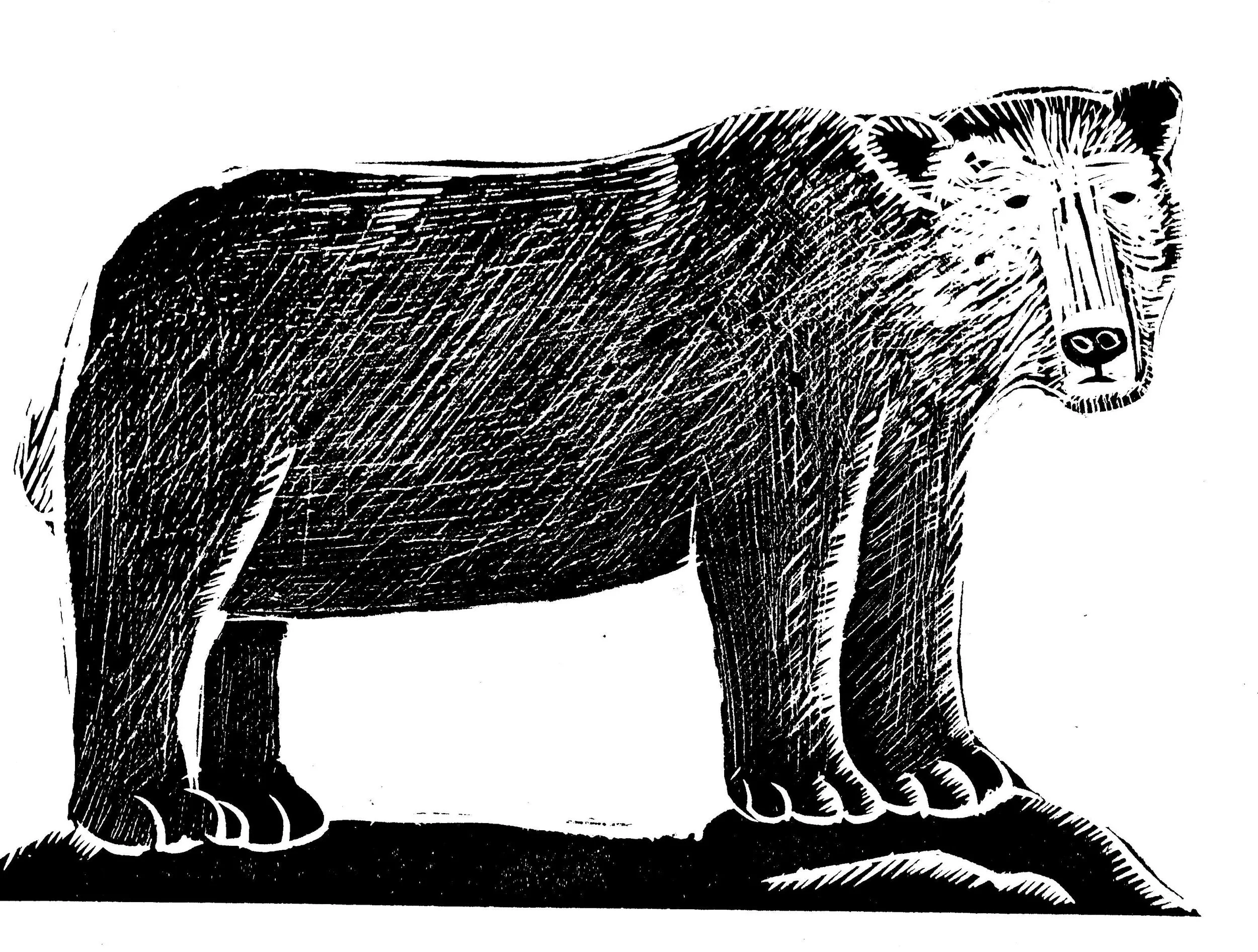 Bear linocut £66 (unframed)