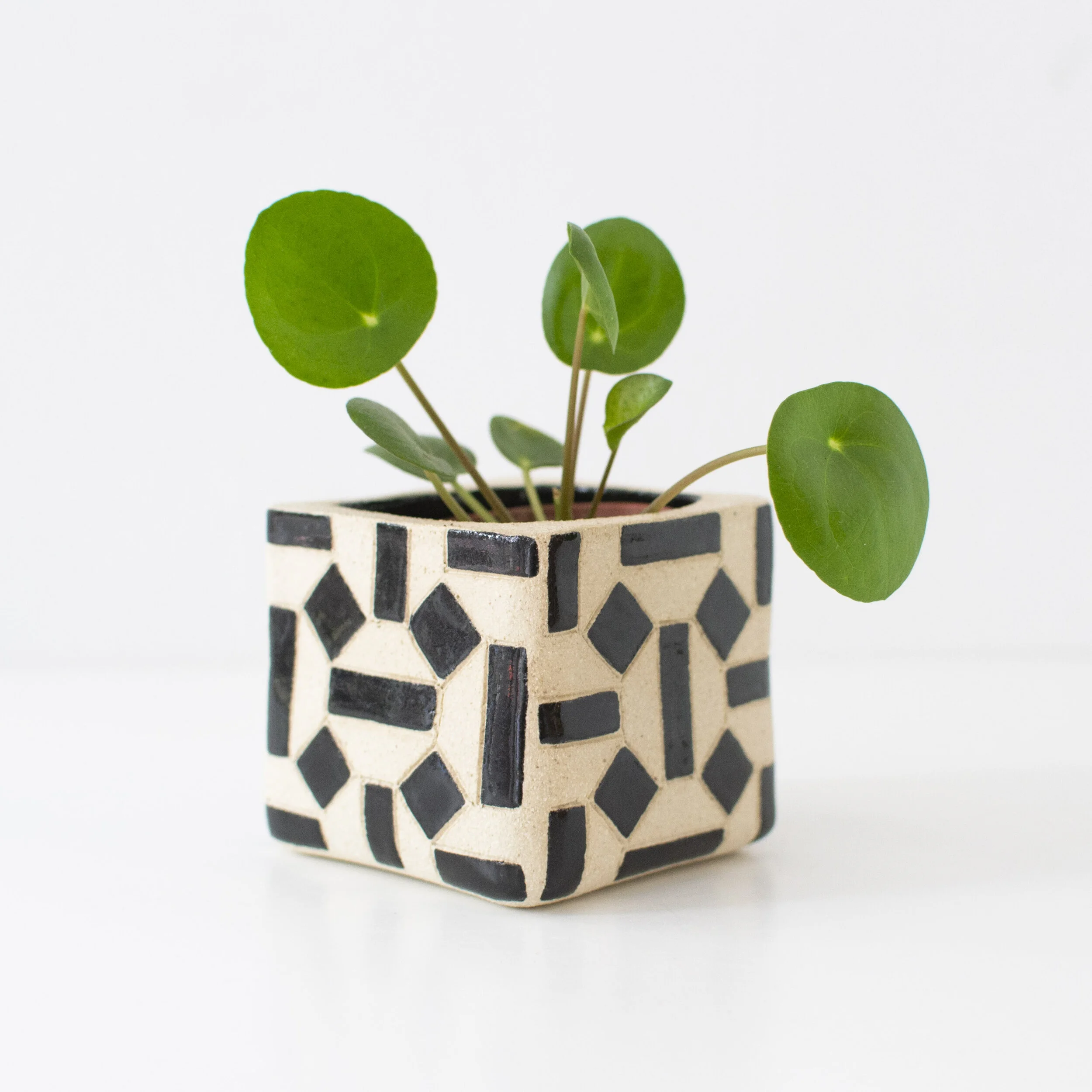 Succulent Planter 3 by Teresa Clay