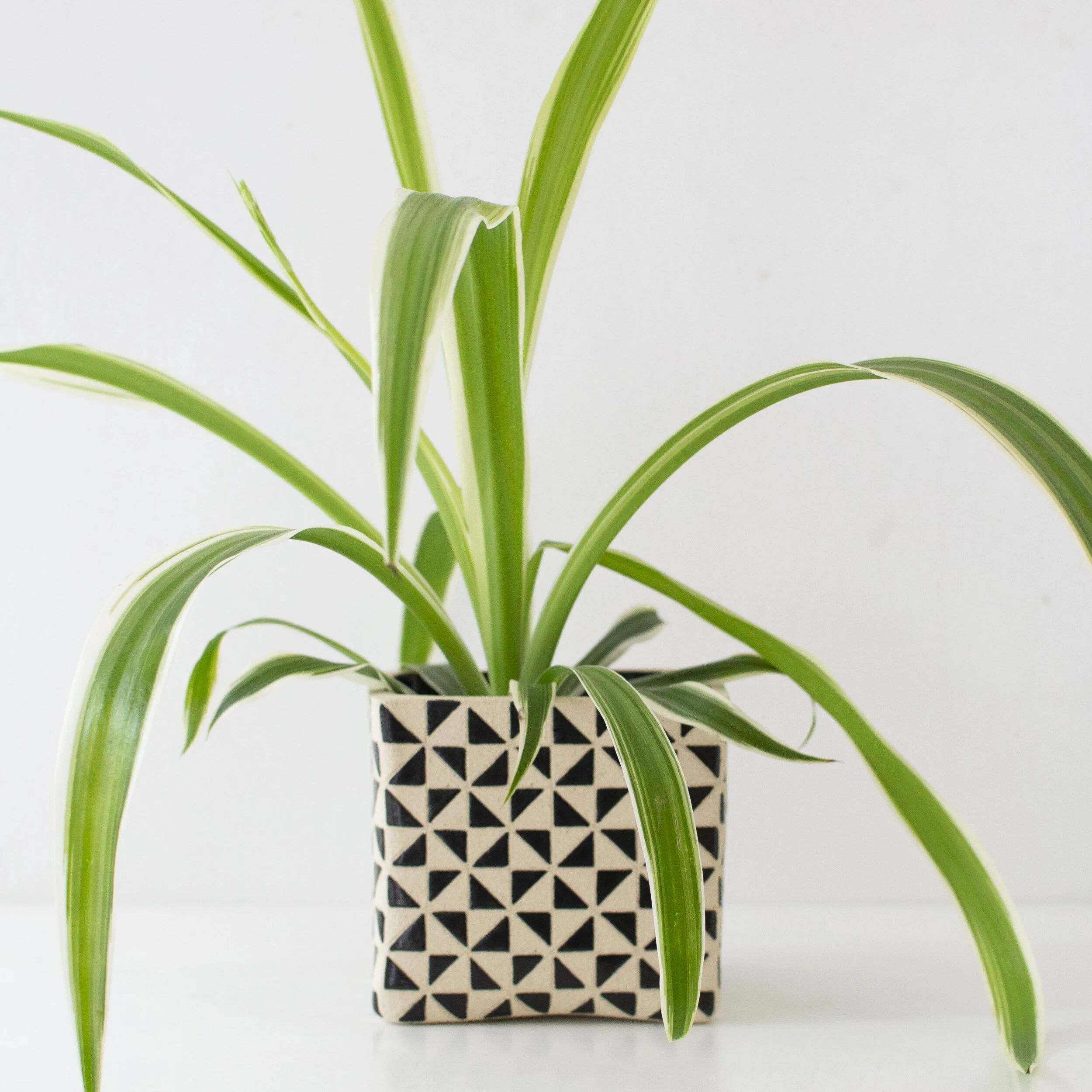 Small Planter 4 by Teresa Clay