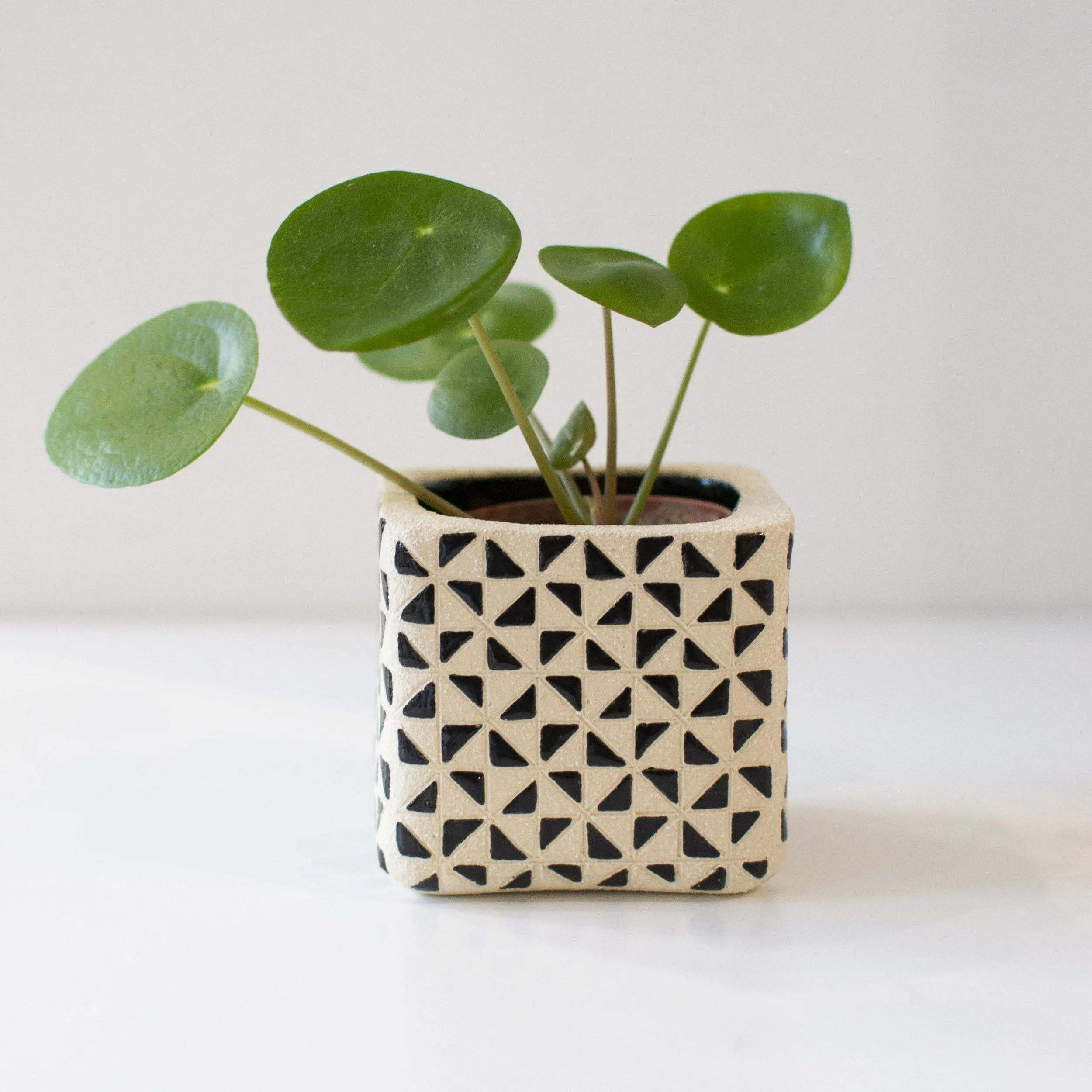 Succulent Planter 2 by Teresa Clay